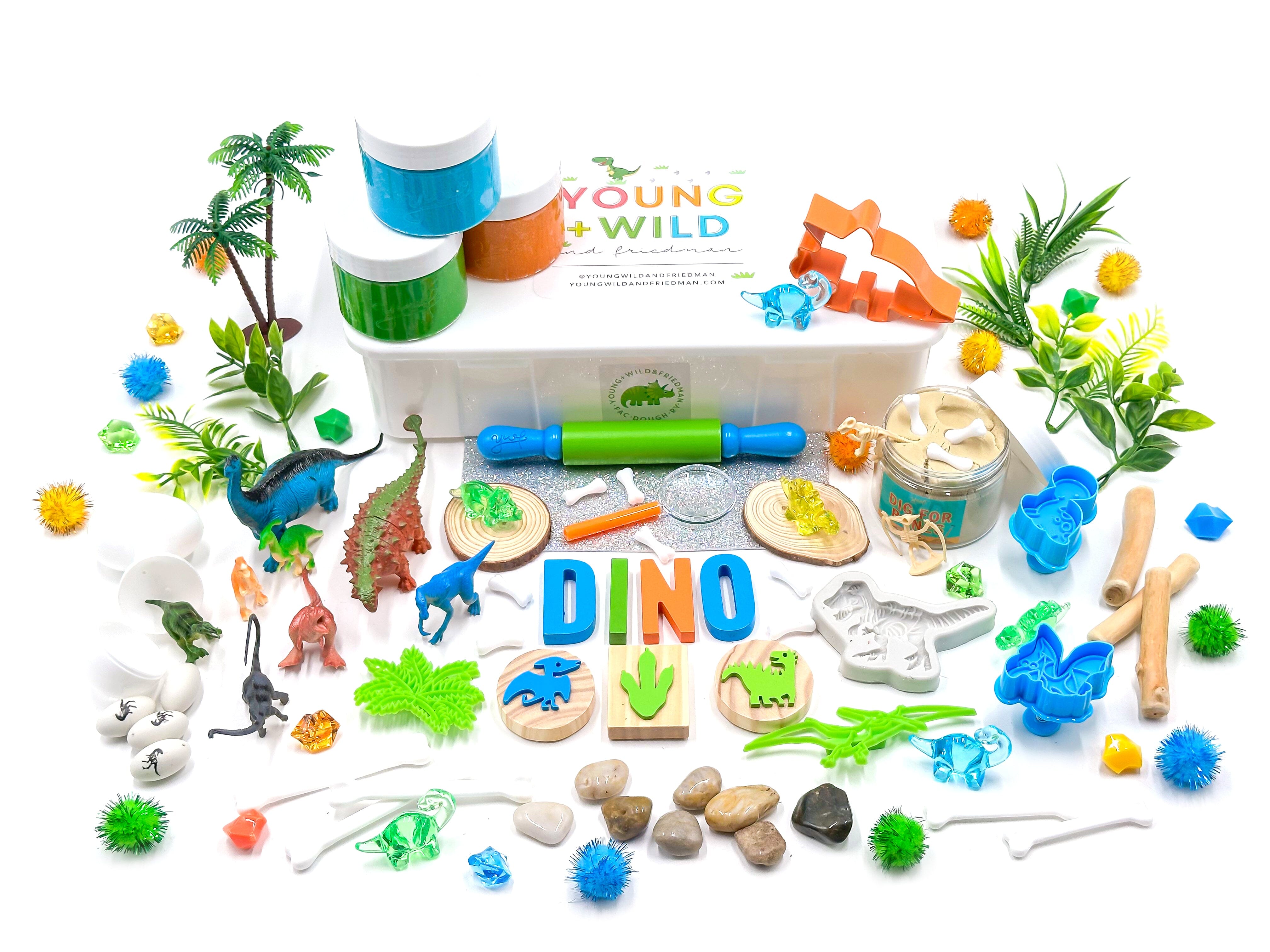 Dino Sensory Kit Sensory Kit Young, Wild & Friedman