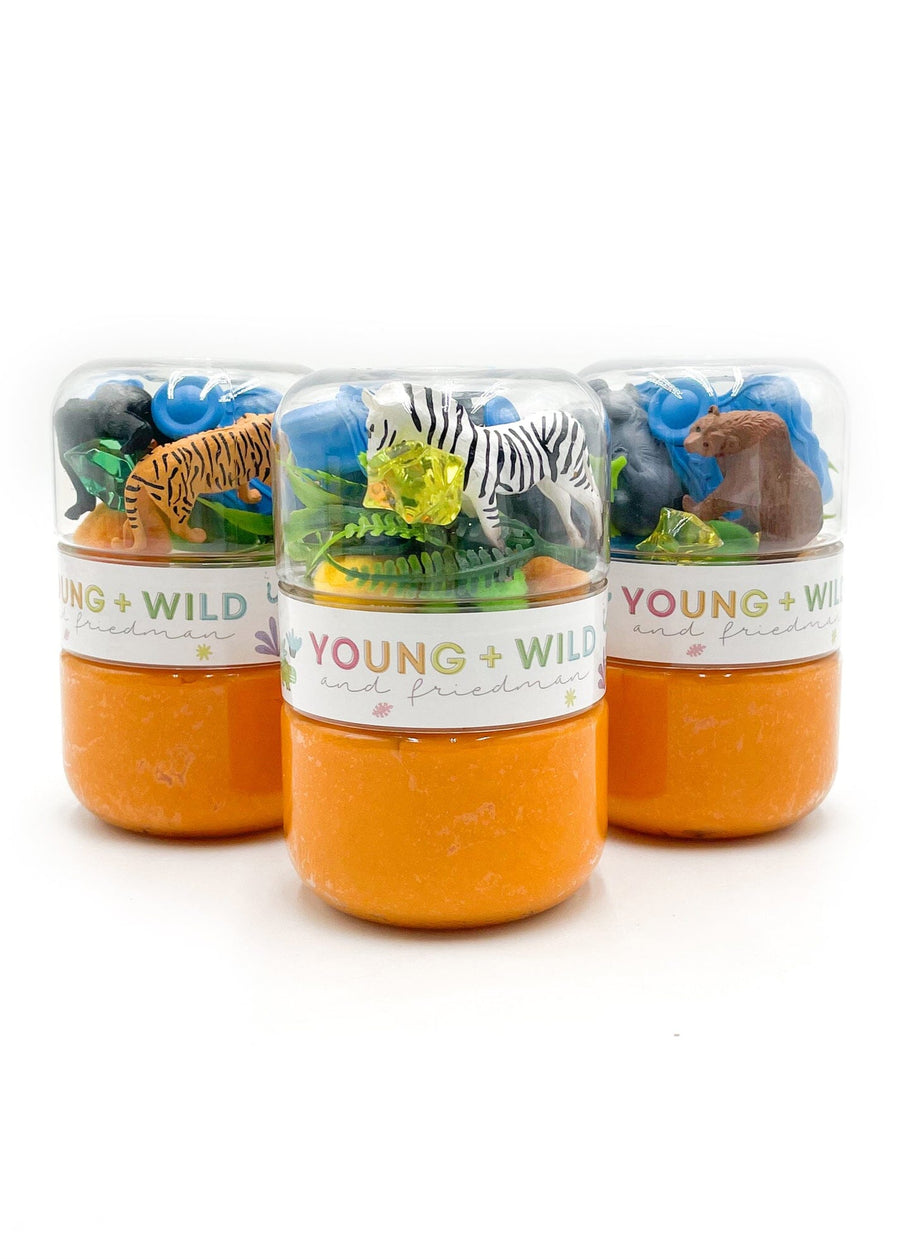 Zoo Grab & Go Dough Jar Grab and Go Dough Young, Wild & Friedman