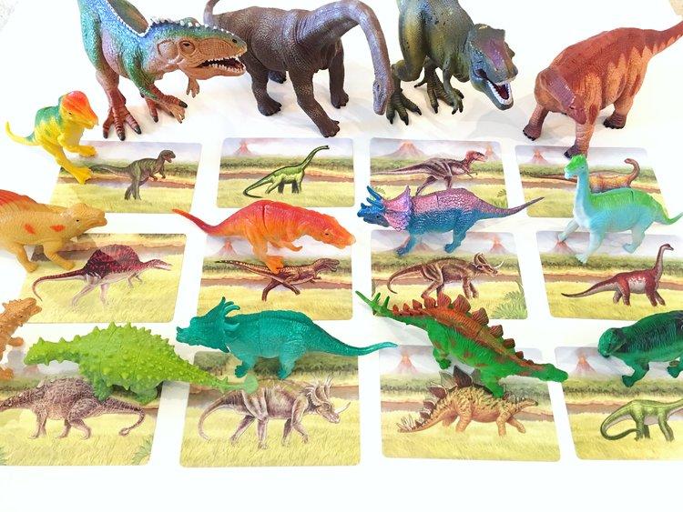 Dinosaur Matching