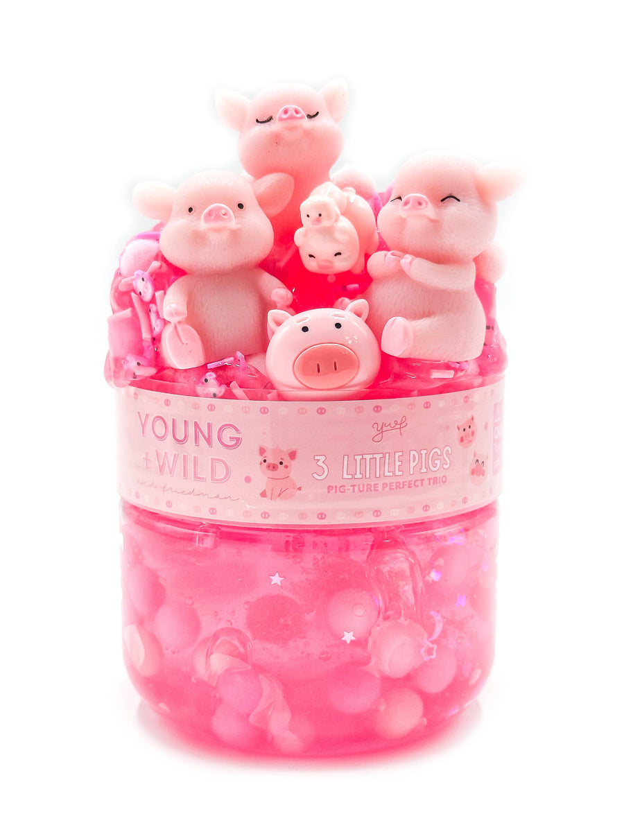 3 Little Pigs Slime Slime Young, Wild & Friedman 