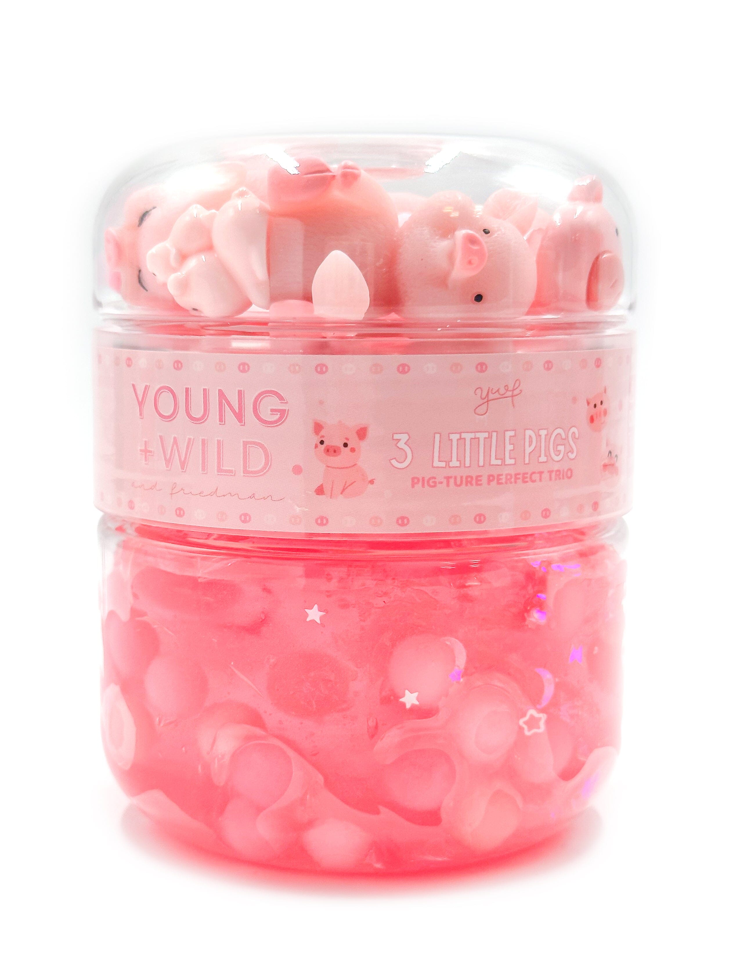 3 Little Pigs Slime Slime Young, Wild & Friedman 