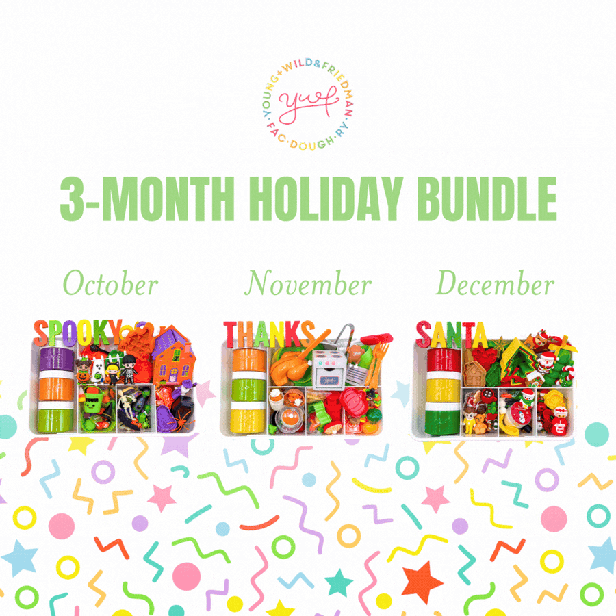 3-Month Holiday Bundle Sensory Kit Young, Wild & Friedman 