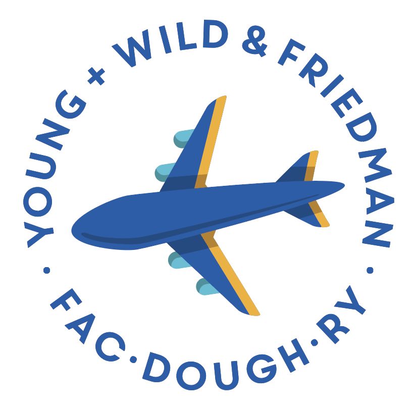Airplane Kit Curriculum Kit Curriculum Young, Wild & Friedman 