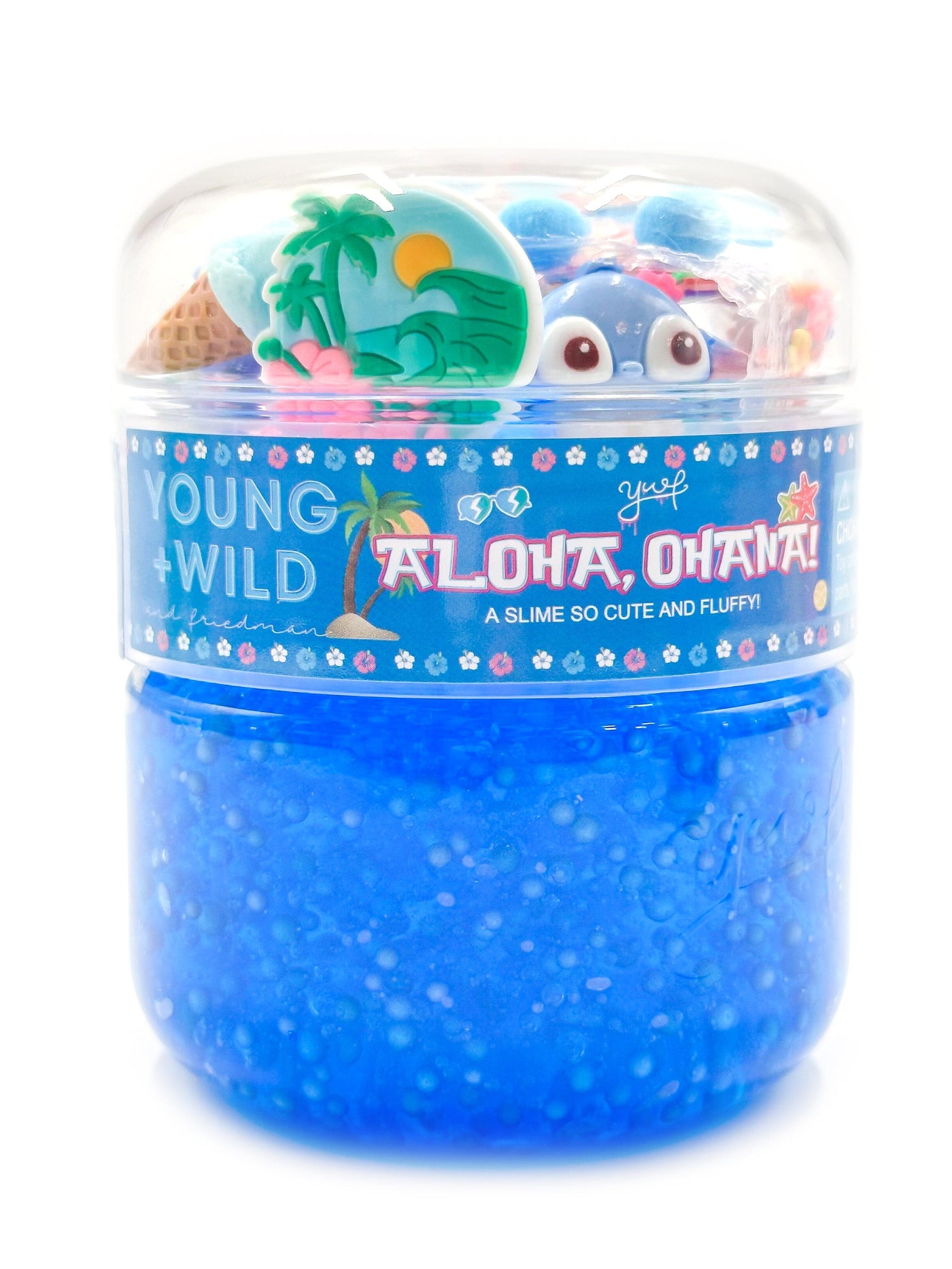Aloha, Ohana Slime Slime Young, Wild & Friedman 