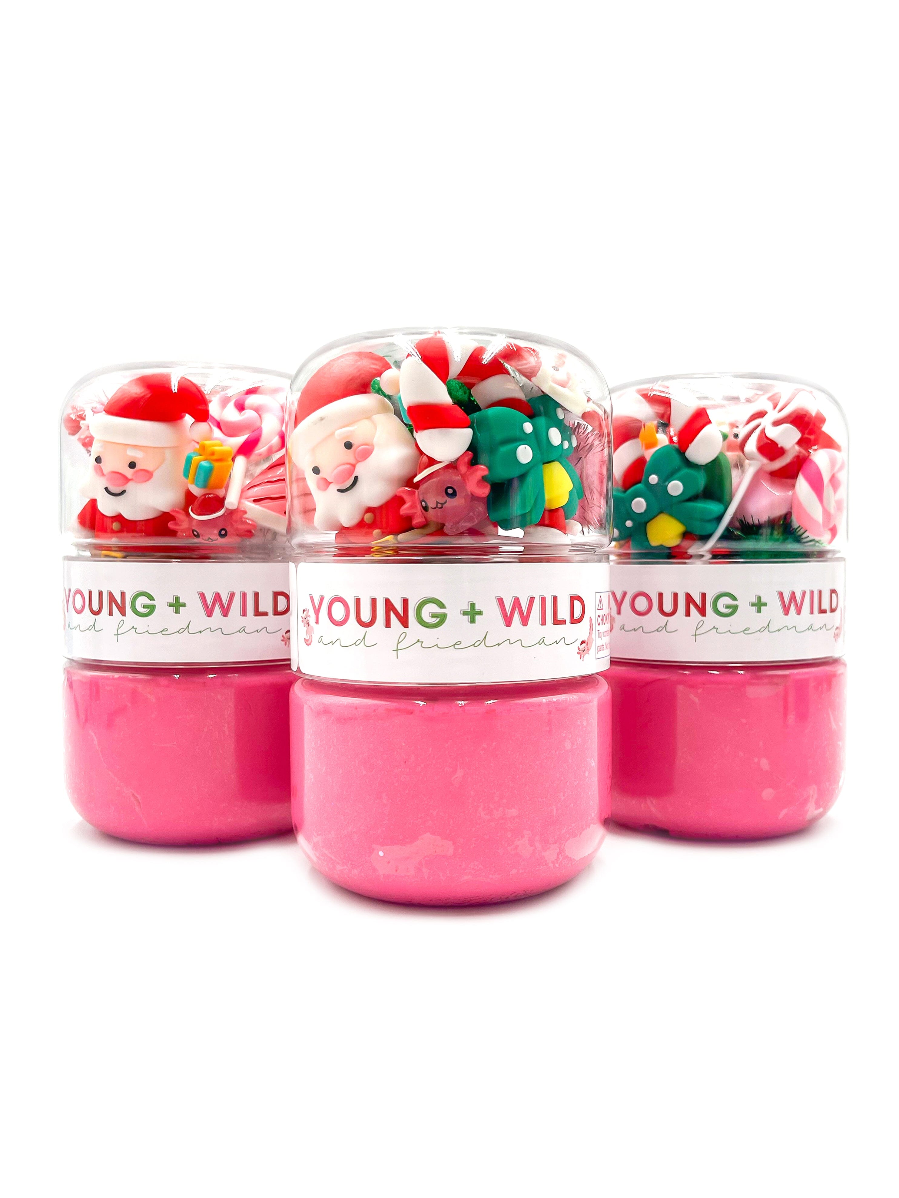 Axolotl Santa Grab & Go Dough Jar Sensory Dough Young, Wild & Friedman 