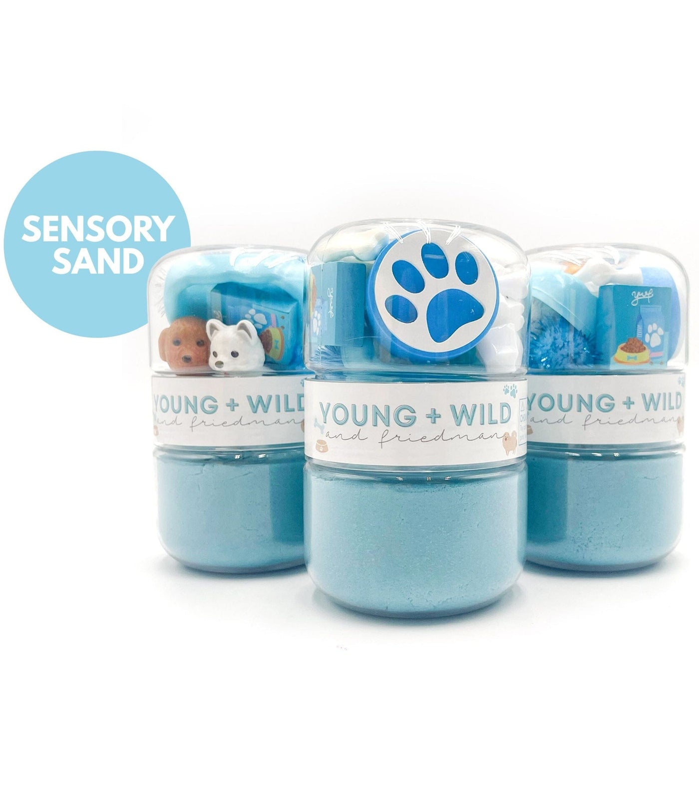 Blue Pet Grab & Go Sensory Sand Jar Grab and Go Dough Young, Wild & Friedman 
