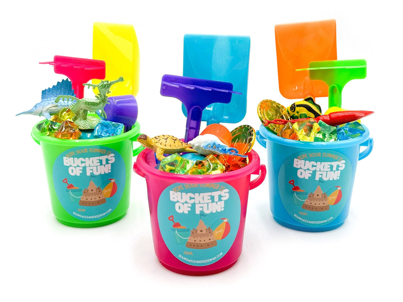 Bucket of Fun Class Gift Special Young, Wild & Friedman 