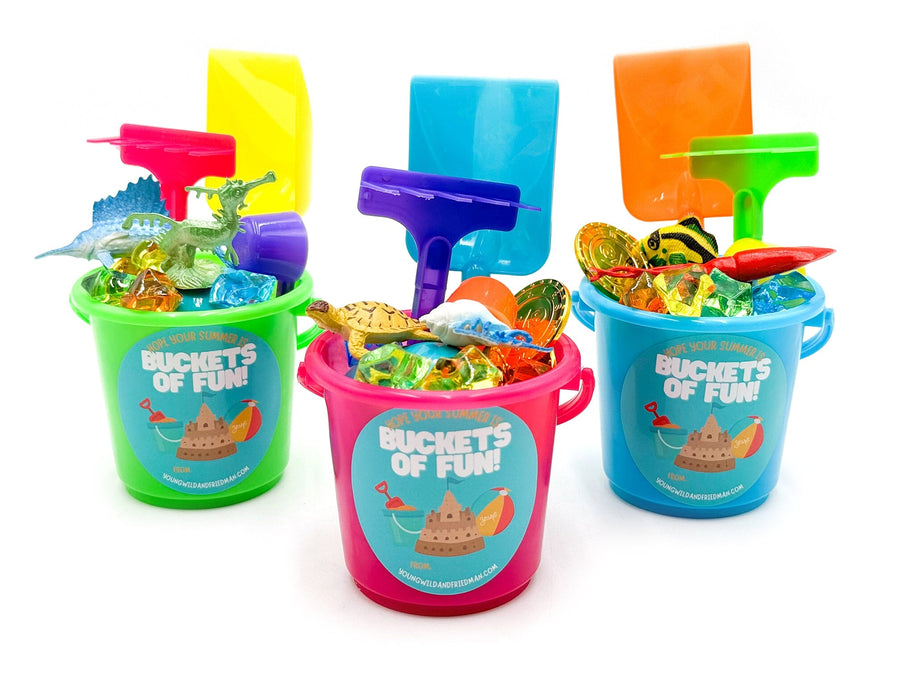 Bucket of Fun Class Gift Special Young, Wild & Friedman 