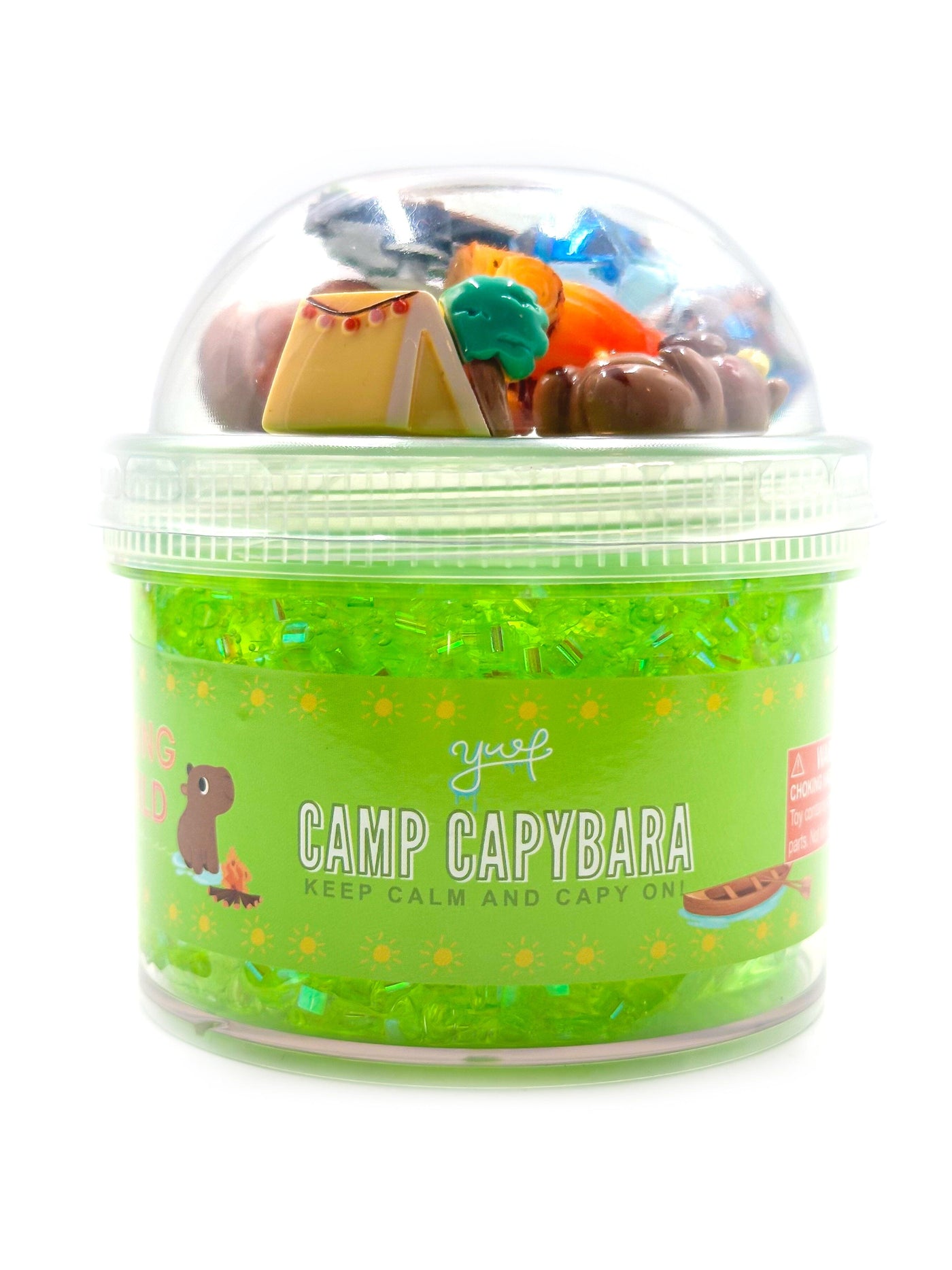 Camp Capybara Slime Slime Young, Wild & Friedman 