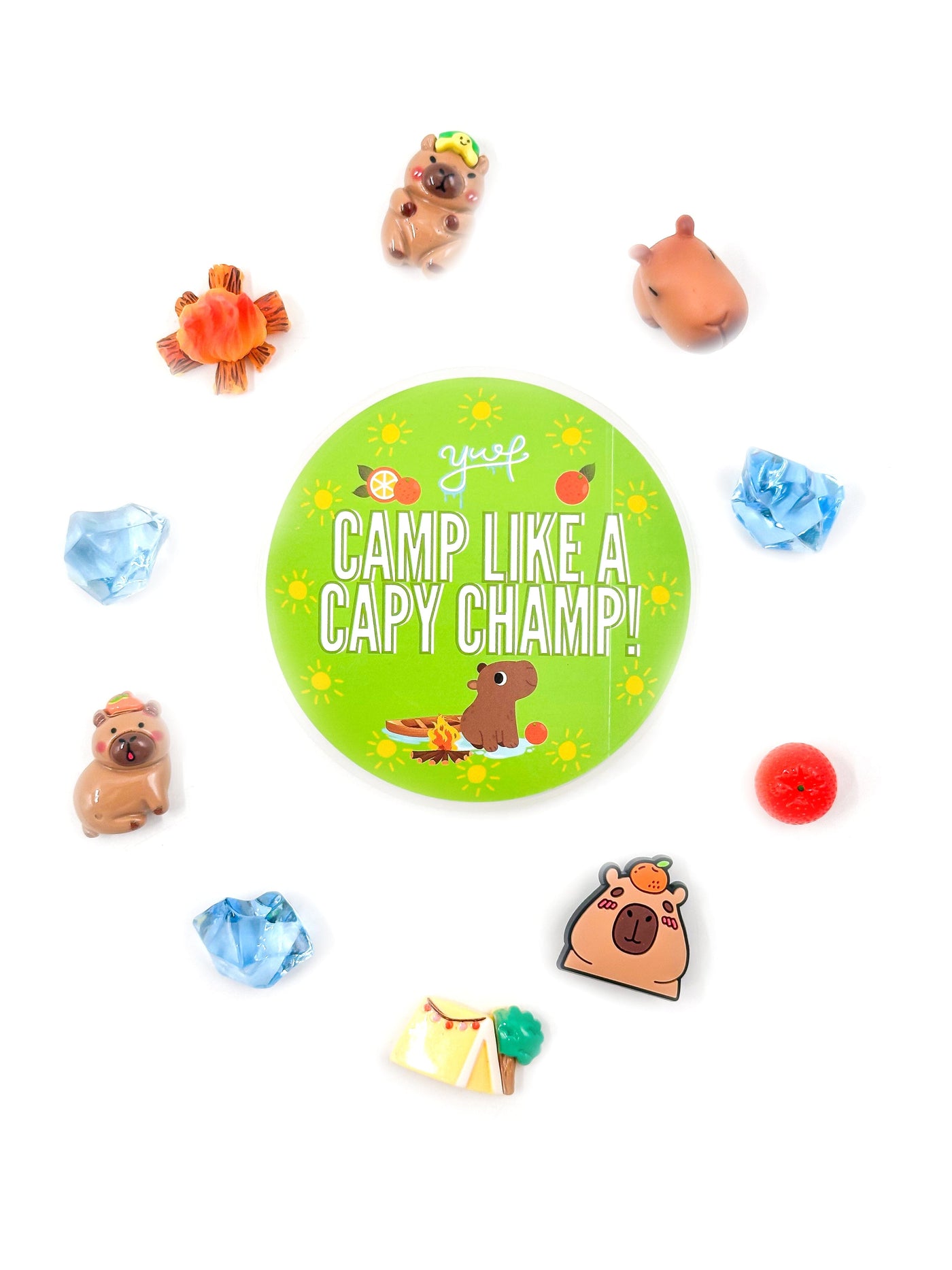 Camp Capybara Slime Slime Young, Wild & Friedman 