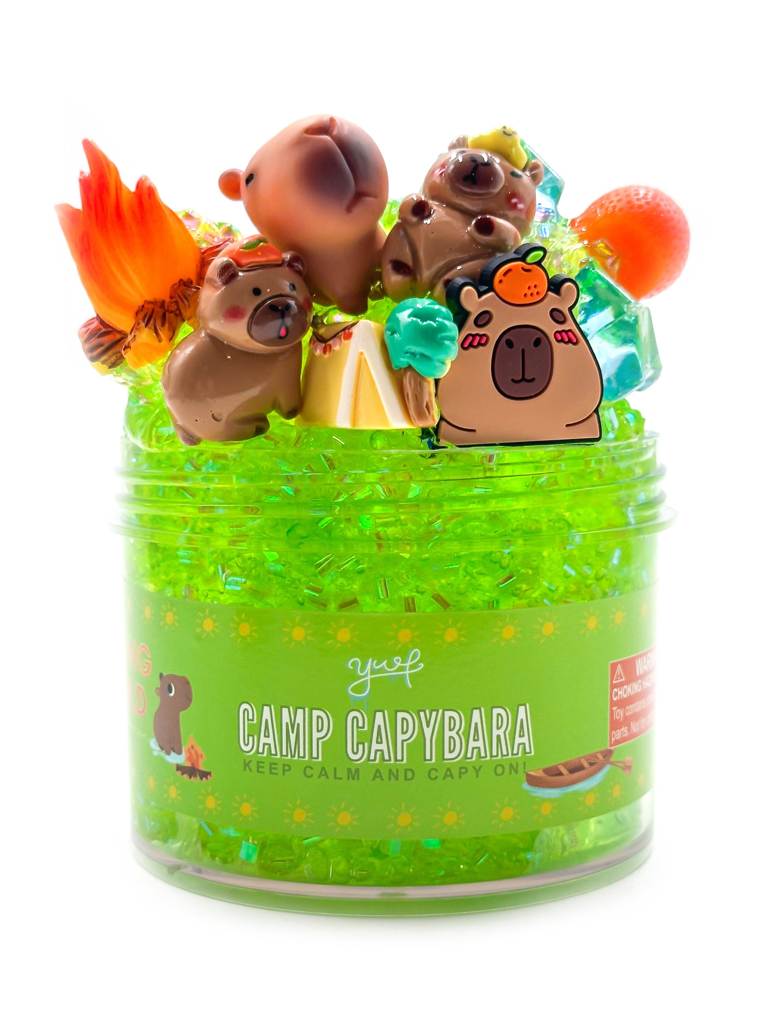 Camp Capybara Slime Slime Young, Wild & Friedman 
