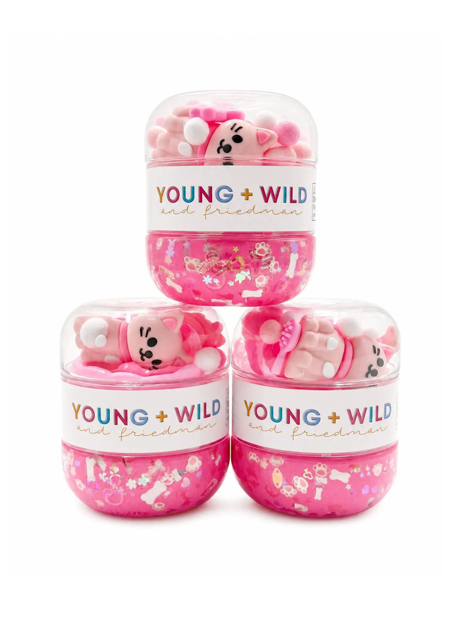 Cat Sensory Dough Jar Sensory Dough Young, Wild & Friedman 