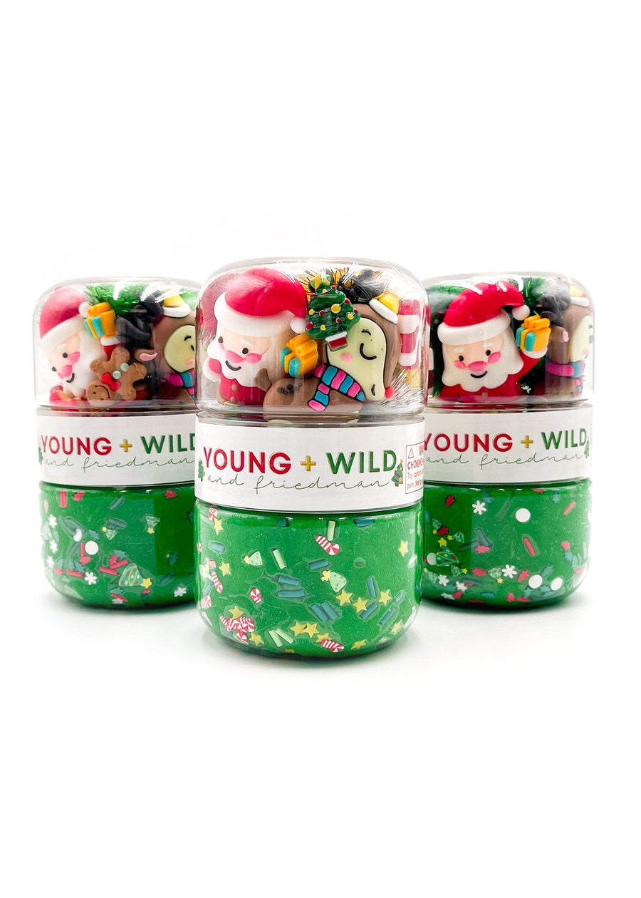 Christmas Grab & Go Dough Jar Sensory Dough Young, Wild & Friedman 