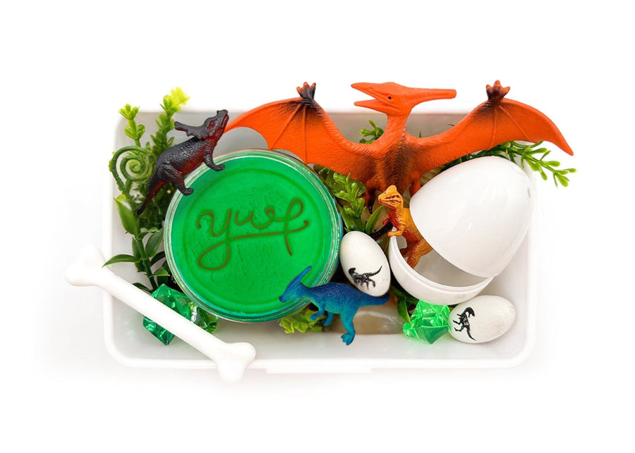 Dinosaur Mini Sensory Kit Mini Kit Young, Wild & Friedman 