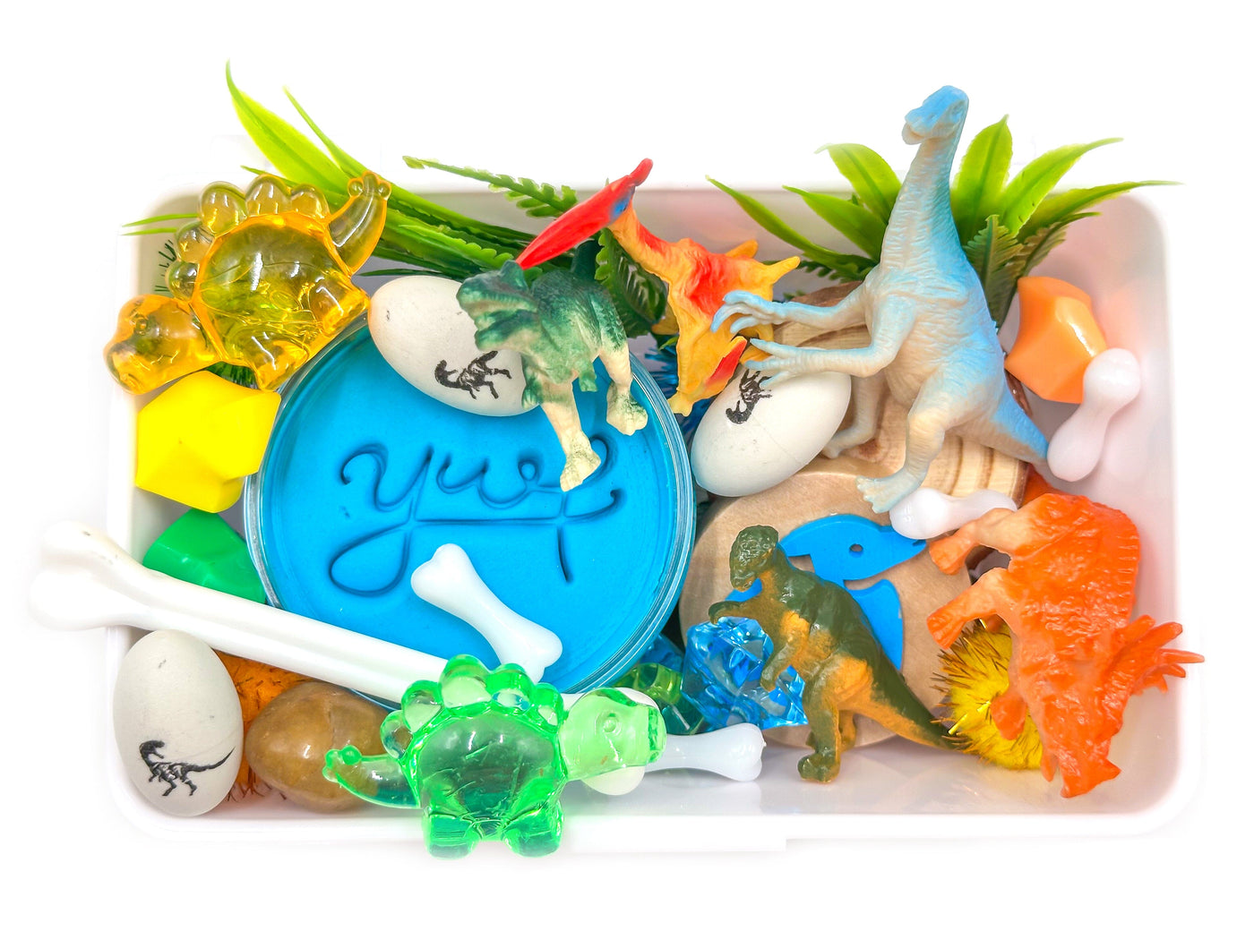 Dinosaur Mini Sensory Kit Mini Kit Young, Wild & Friedman 