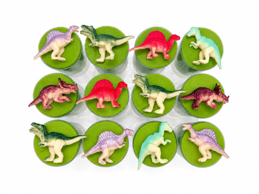Dinosaur Sensory Dough Push Pop Sensory Dough Young, Wild & Friedman 