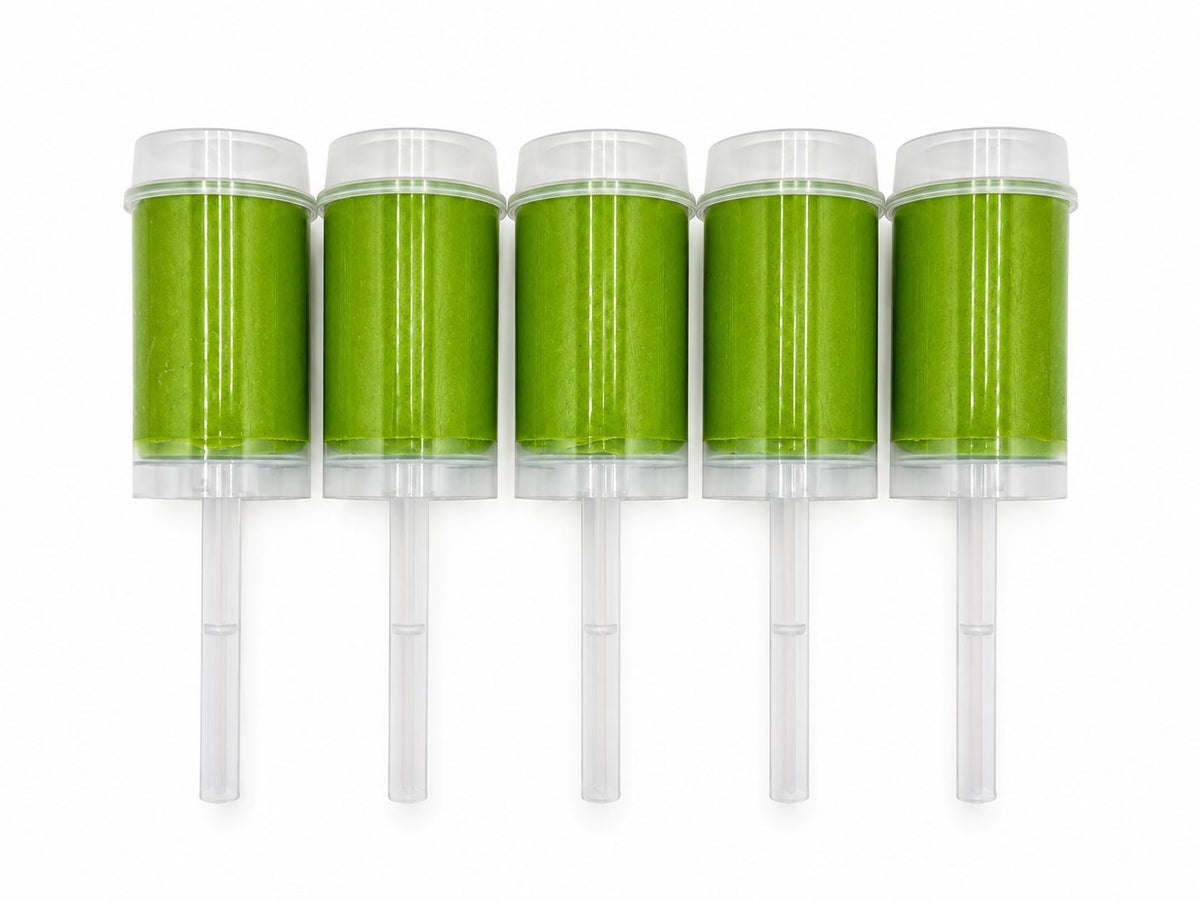 Dinosaur Sensory Dough Push Pop Sensory Dough Young, Wild & Friedman 
