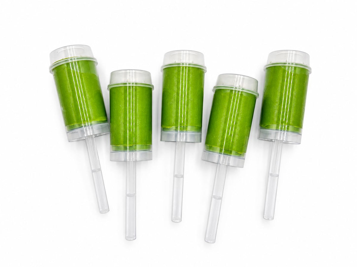 Dinosaur Sensory Dough Push Pop Sensory Dough Young, Wild & Friedman 