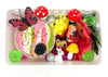 Fairy Garden Mini Kit Mini Kit Young, Wild & Friedman 