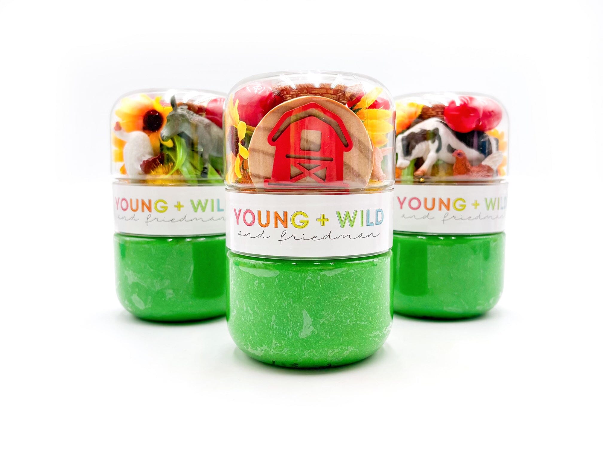 Fall Farm Grab & Go Dough Jar Grab and Go Dough Young, Wild & Friedman 