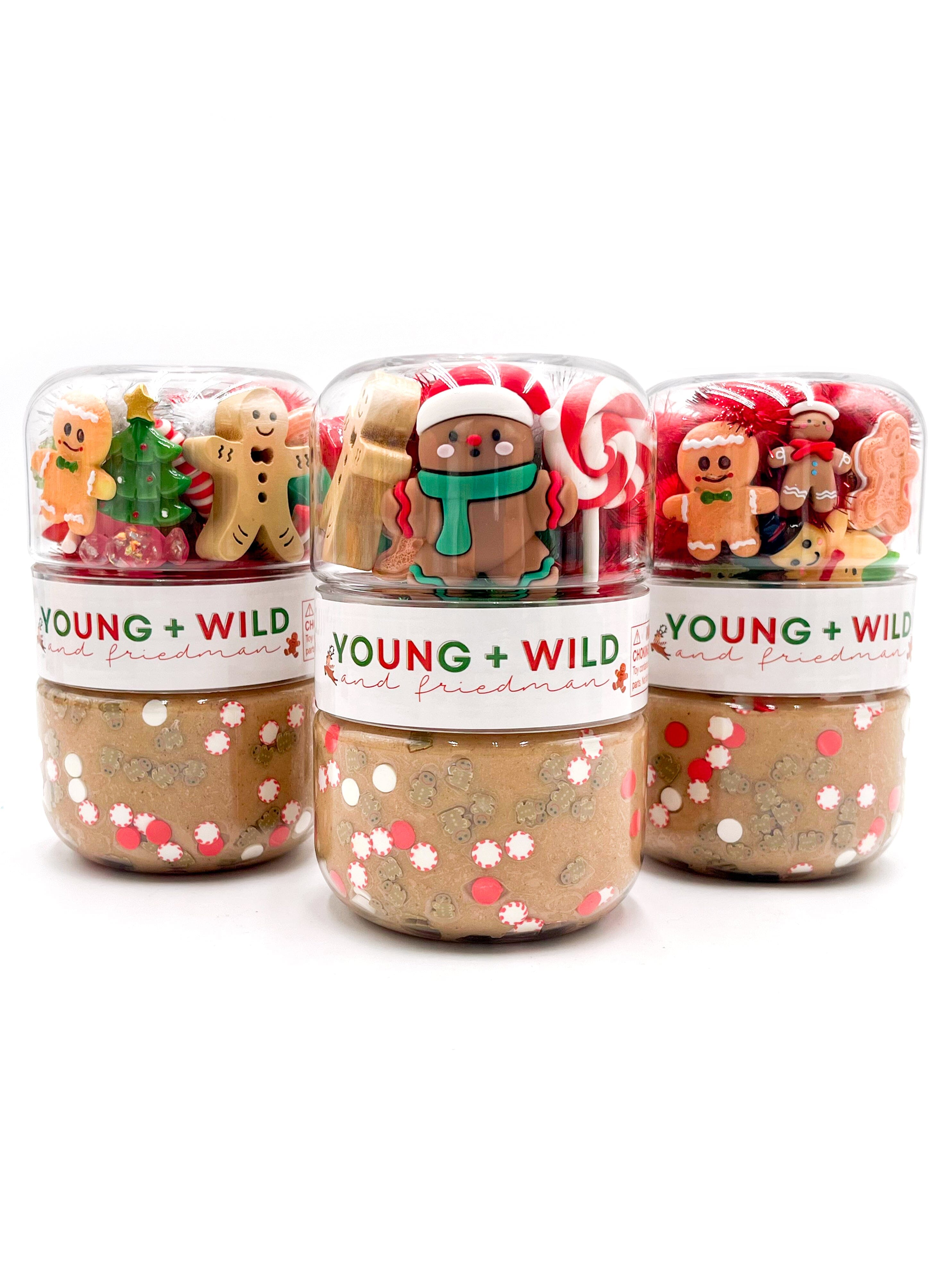 Gingerbread Grab & Go Dough Jar Grab and Go Dough Young, Wild & Friedman 