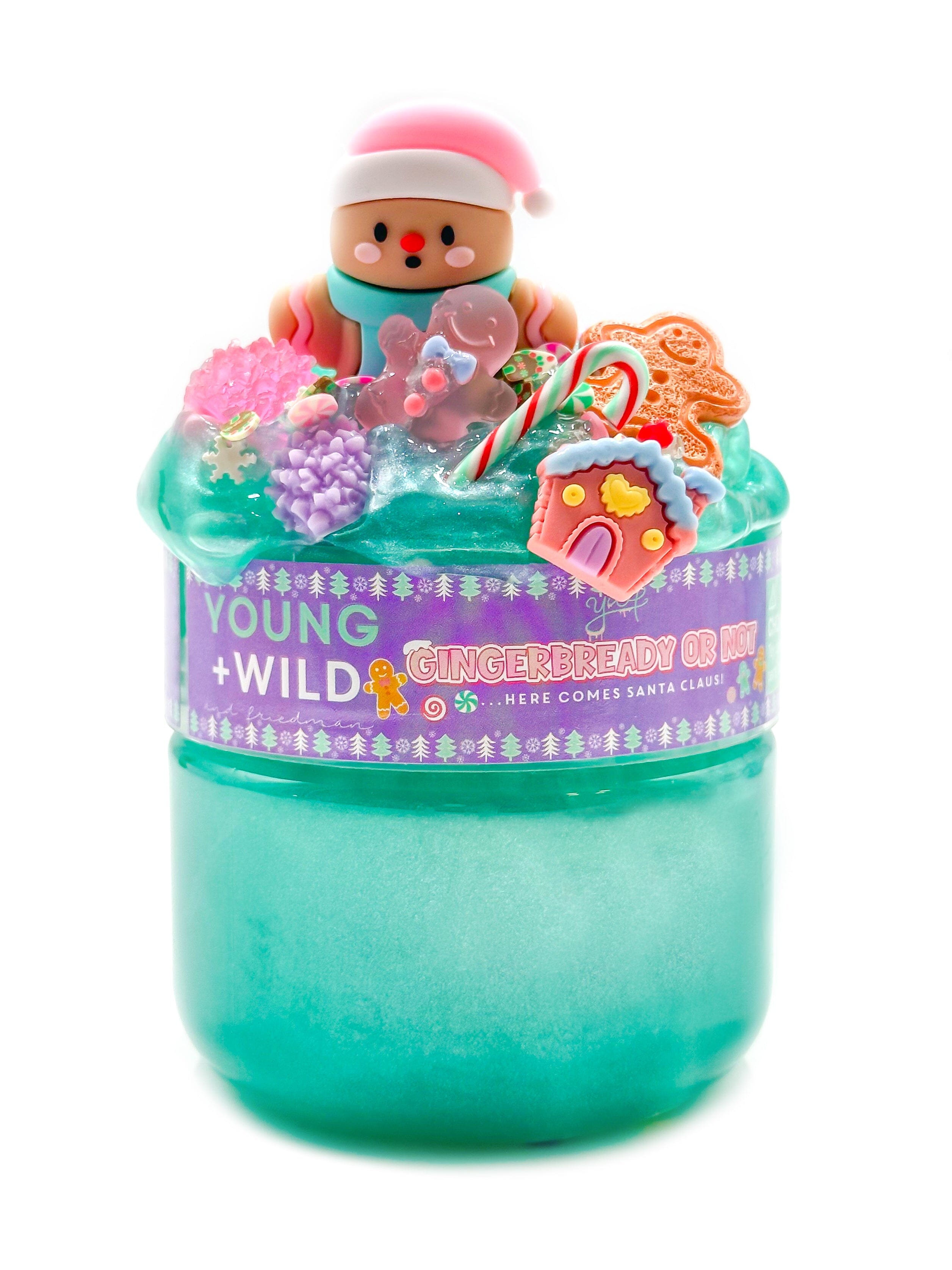 Gingerbready or Not Slime Slime Young, Wild & Friedman 