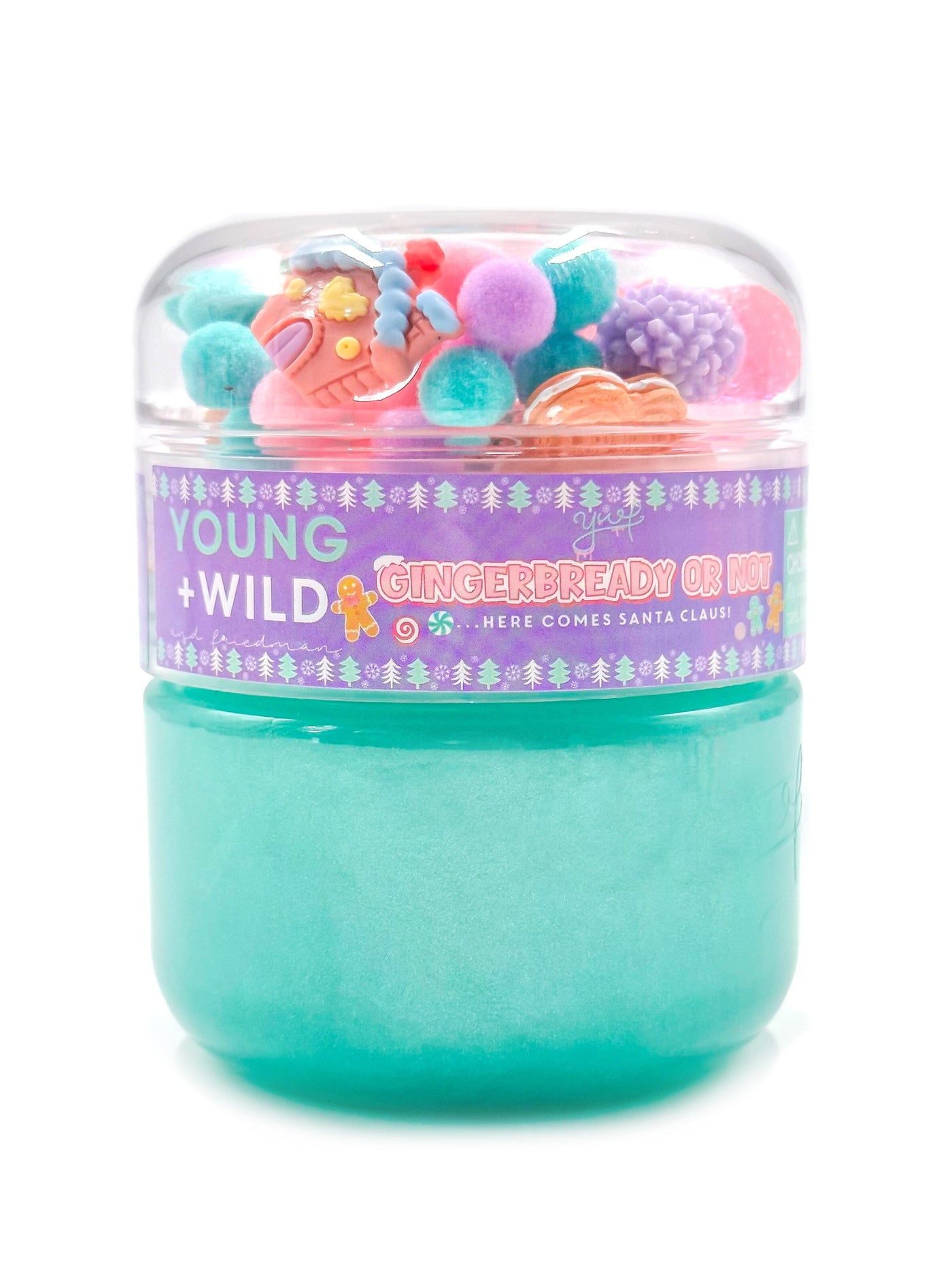 Gingerbready or Not Slime Slime Young, Wild & Friedman 