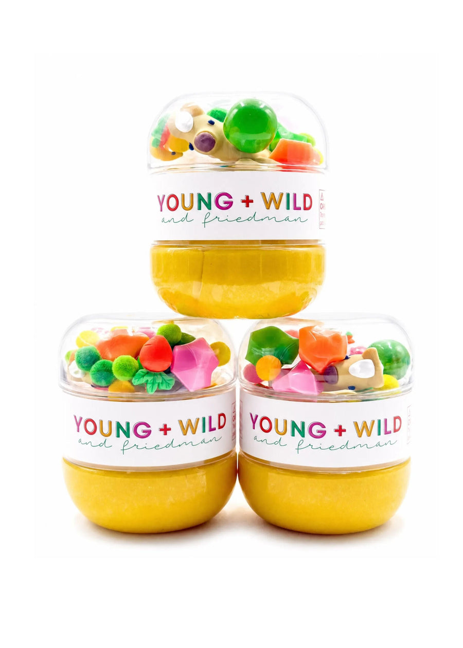 Horse Sensory Dough Jar Sensory Dough Young, Wild & Friedman 