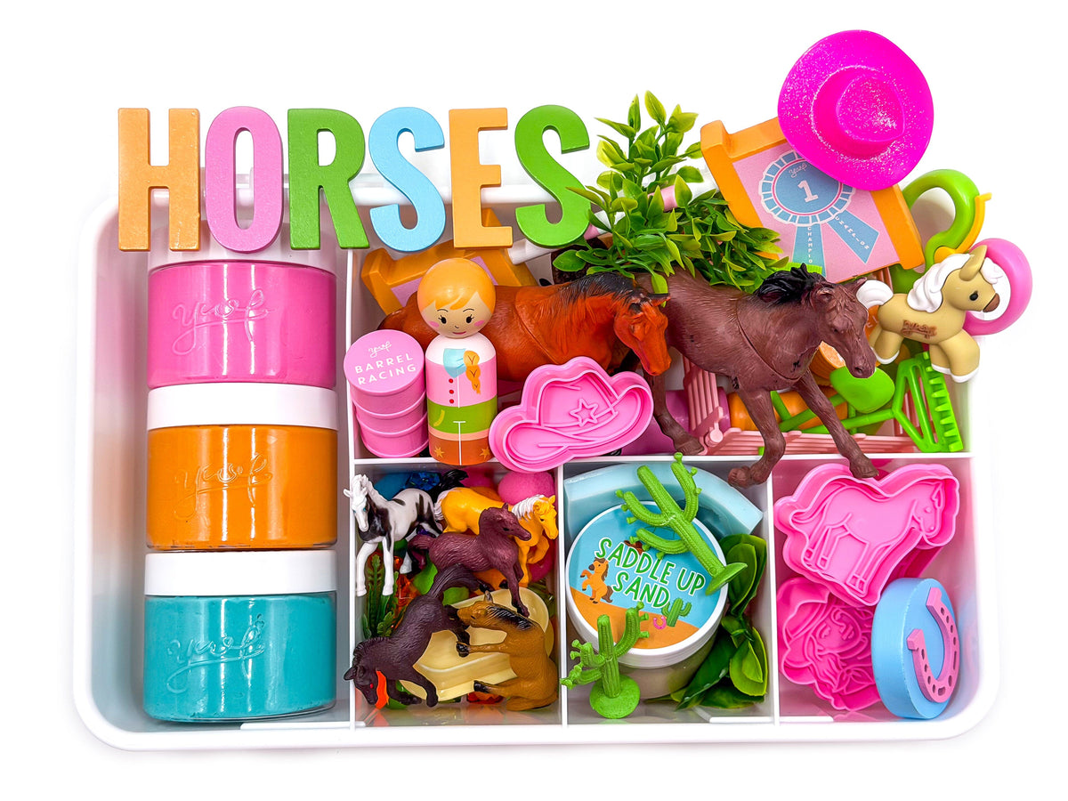 Horse Sensory Kit Sensory Kit Young, Wild & Friedman 