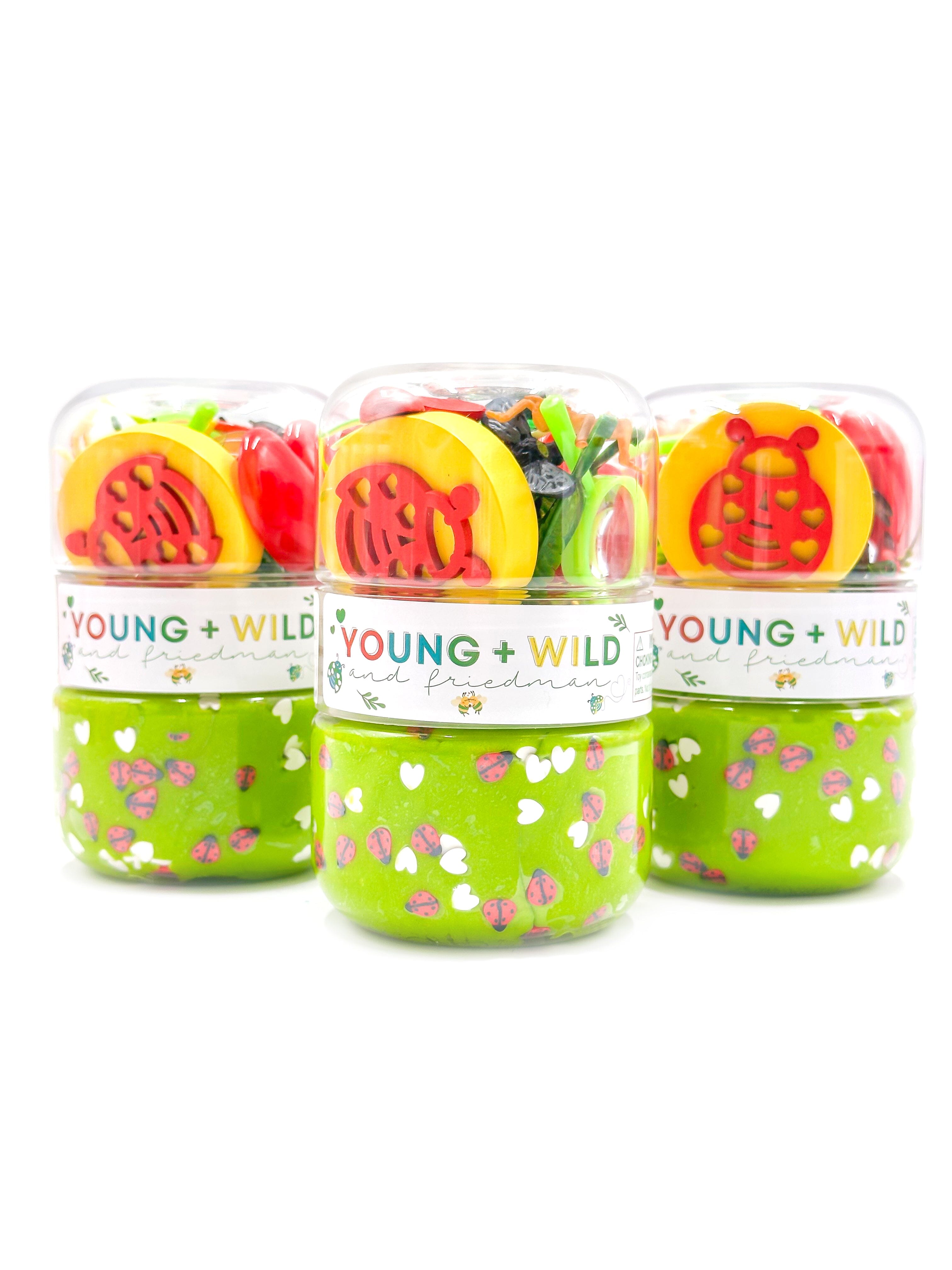 Love Bug Grab & Go Dough Jar Grab and Go Dough Young, Wild & Friedman 