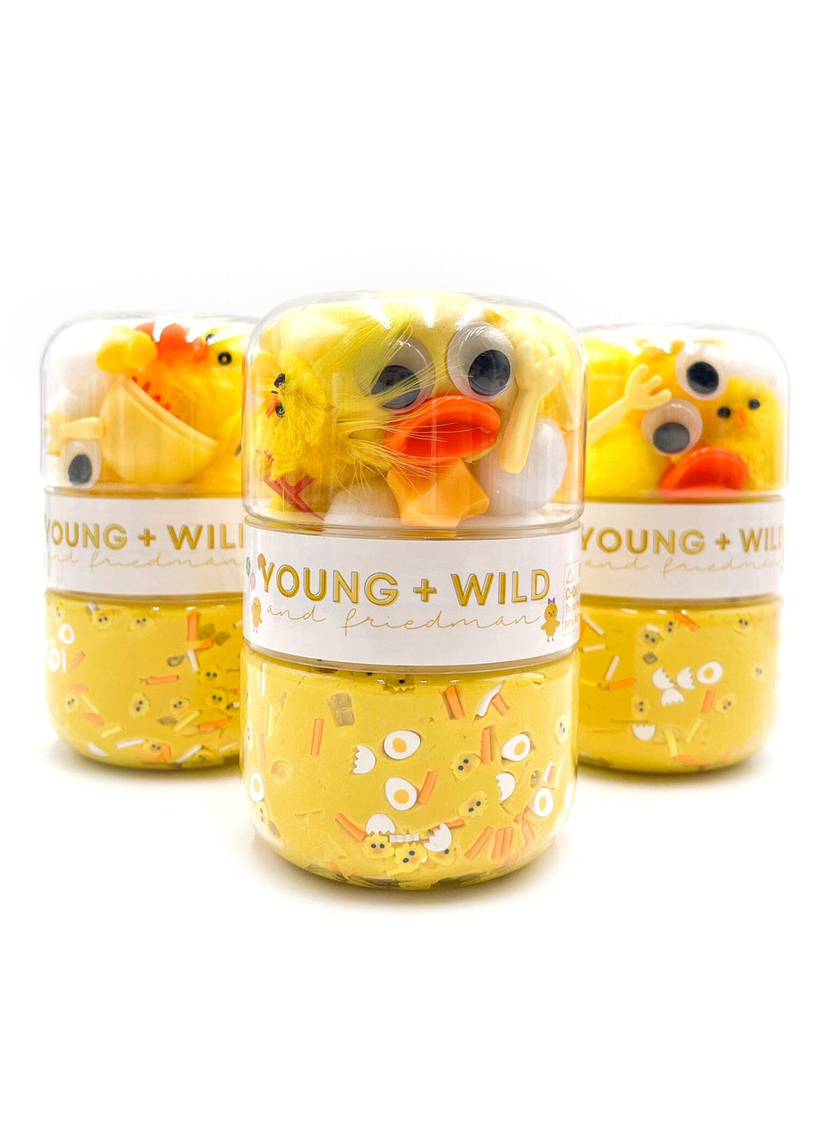 Make A Chick Grab & Go Dough Jar Grab and Go Dough Young, Wild & Friedman 