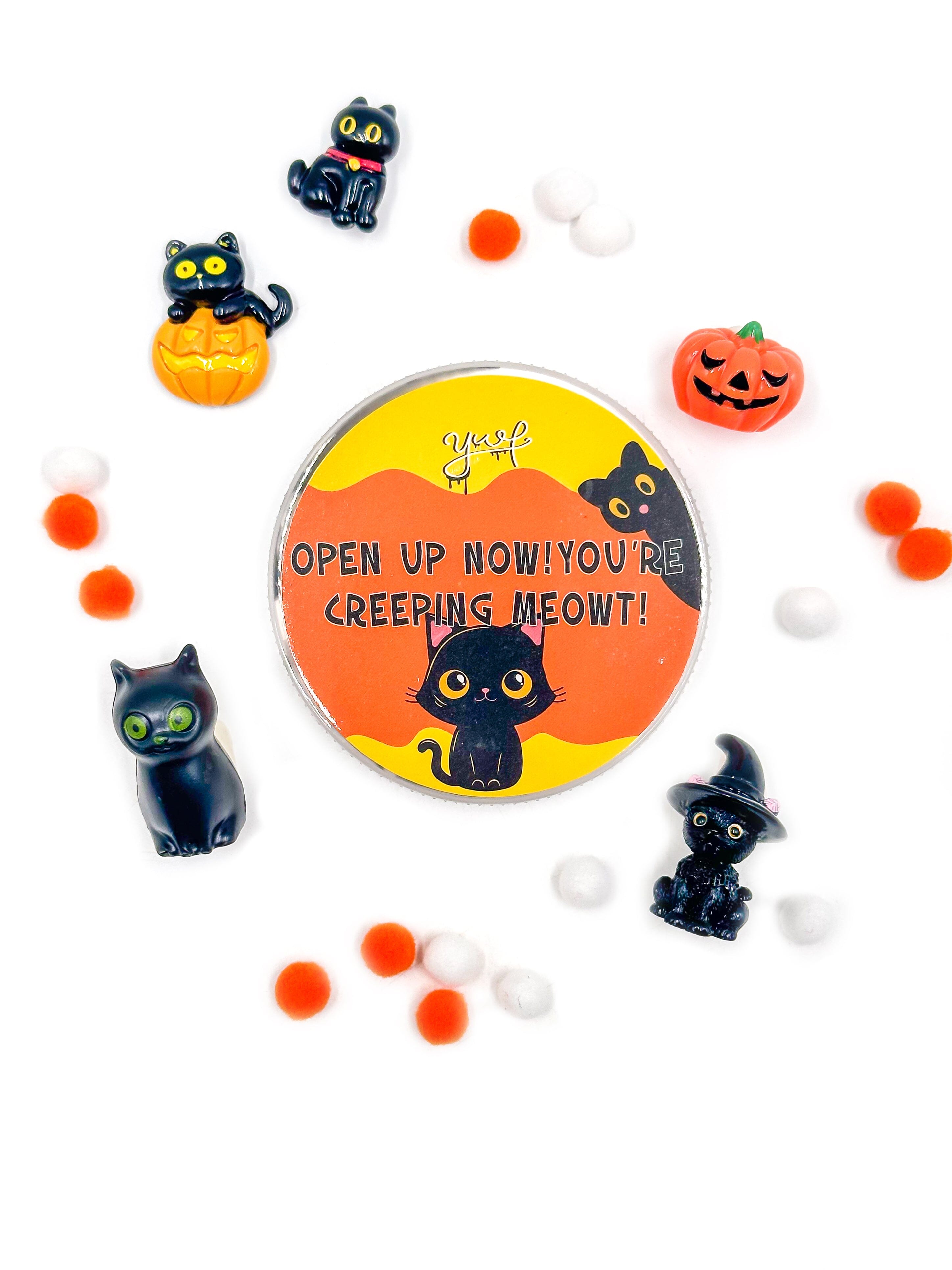 Meowgical Black Cat Slime Slime Young, Wild & Friedman 