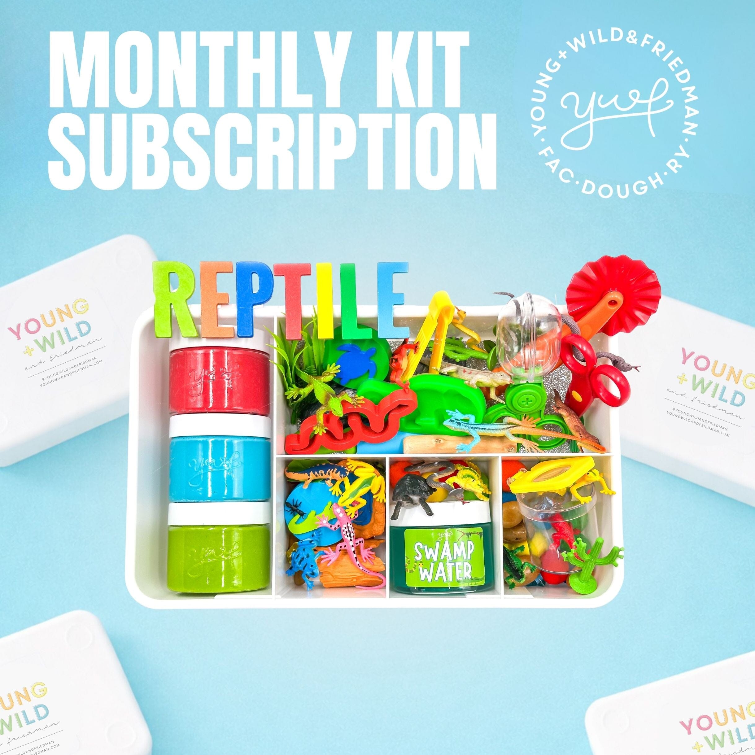 Monthly Subscription - Boy Theme Subscription Young, Wild & Friedman 
