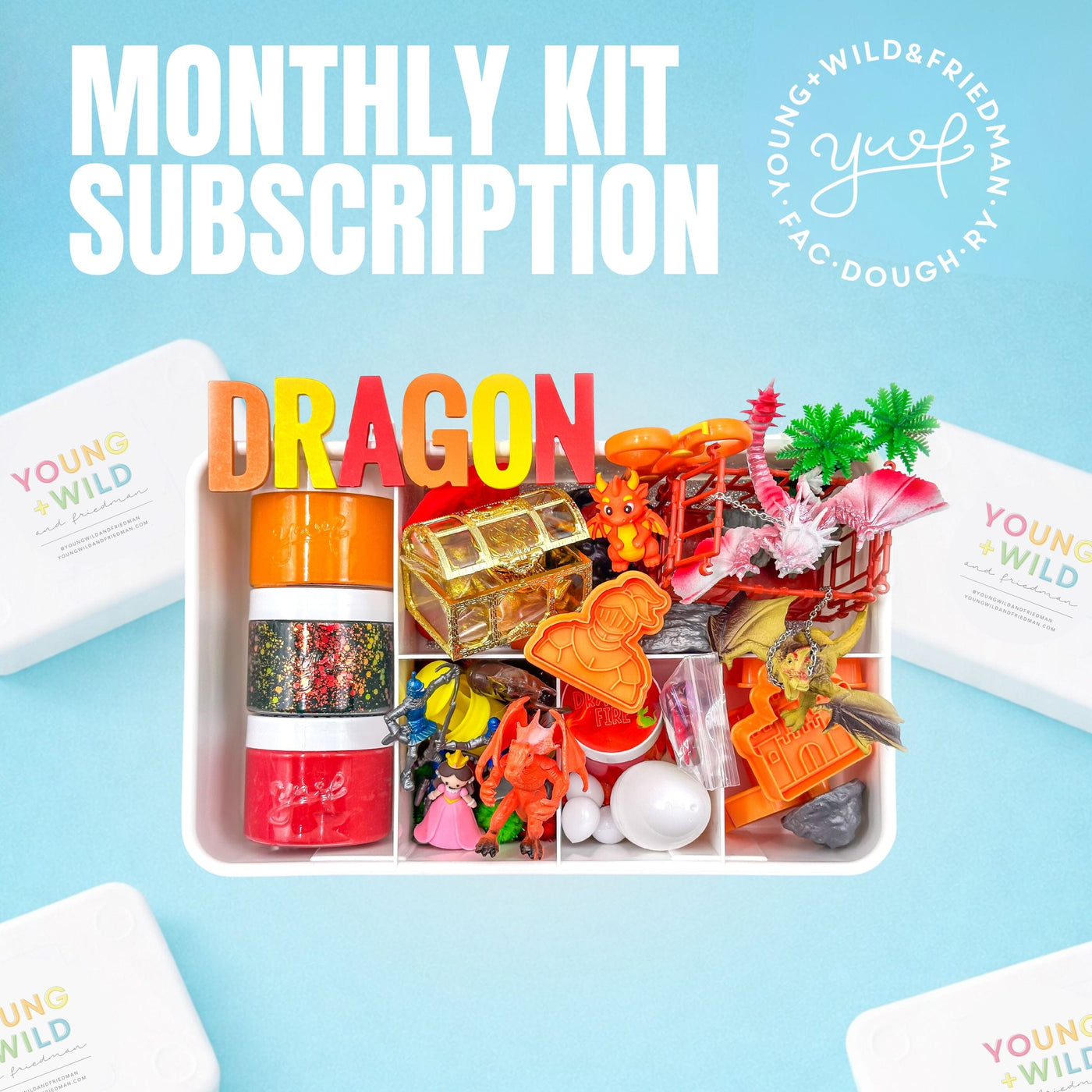 Monthly Subscription - Boy Theme Subscription Young, Wild & Friedman 