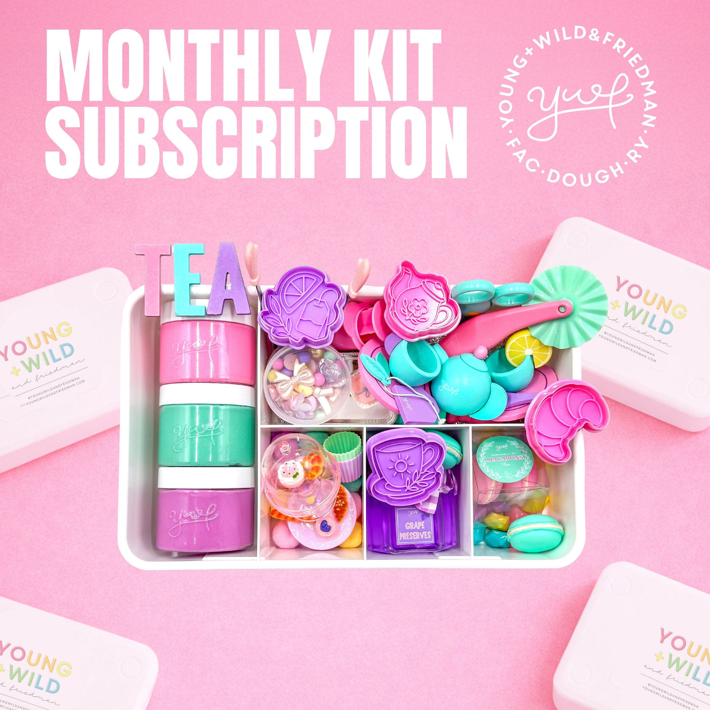 Monthly Subscription - Girl Theme Subscription Young, Wild & Friedman 