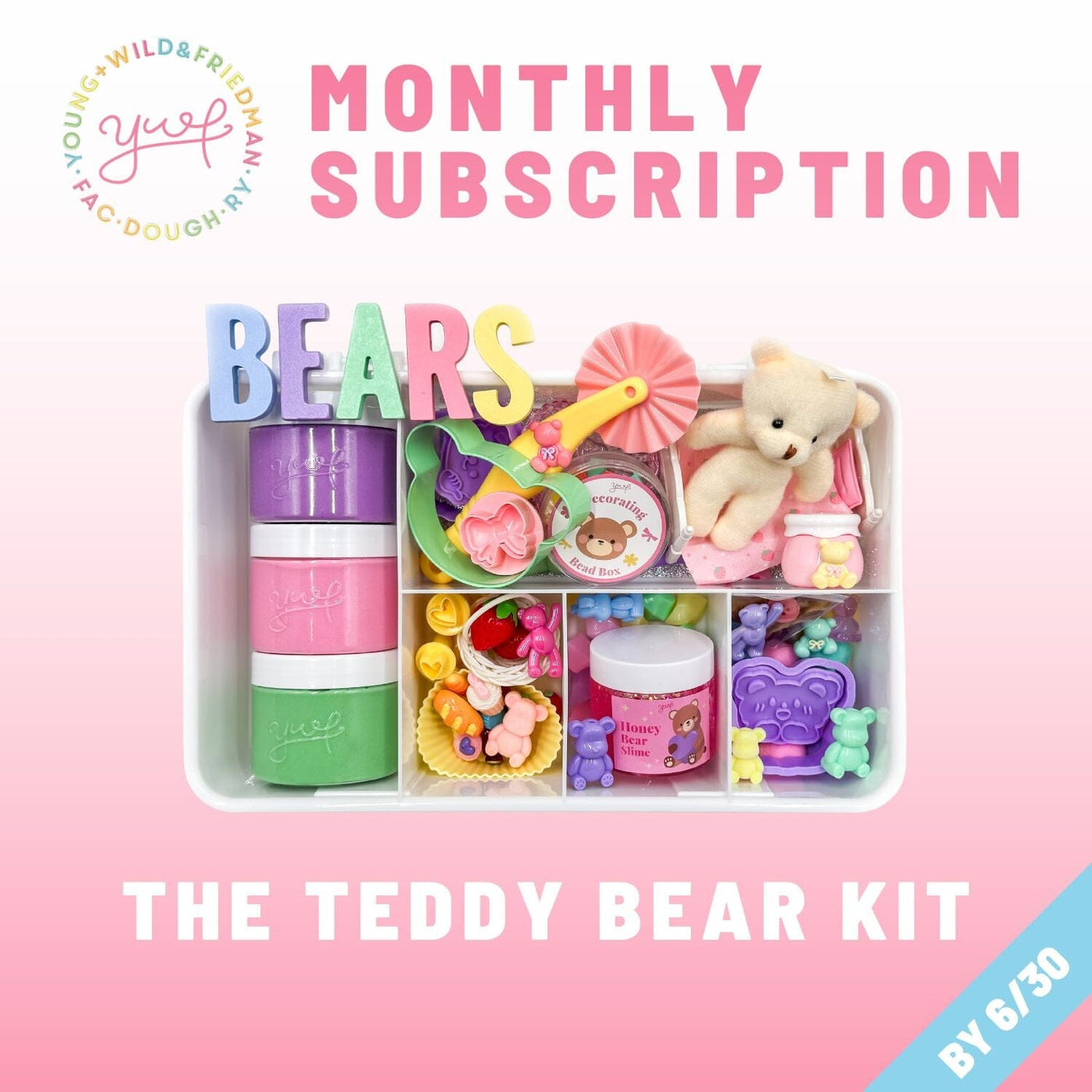 Monthly Subscription - Girl Theme Subscription Young, Wild & Friedman 