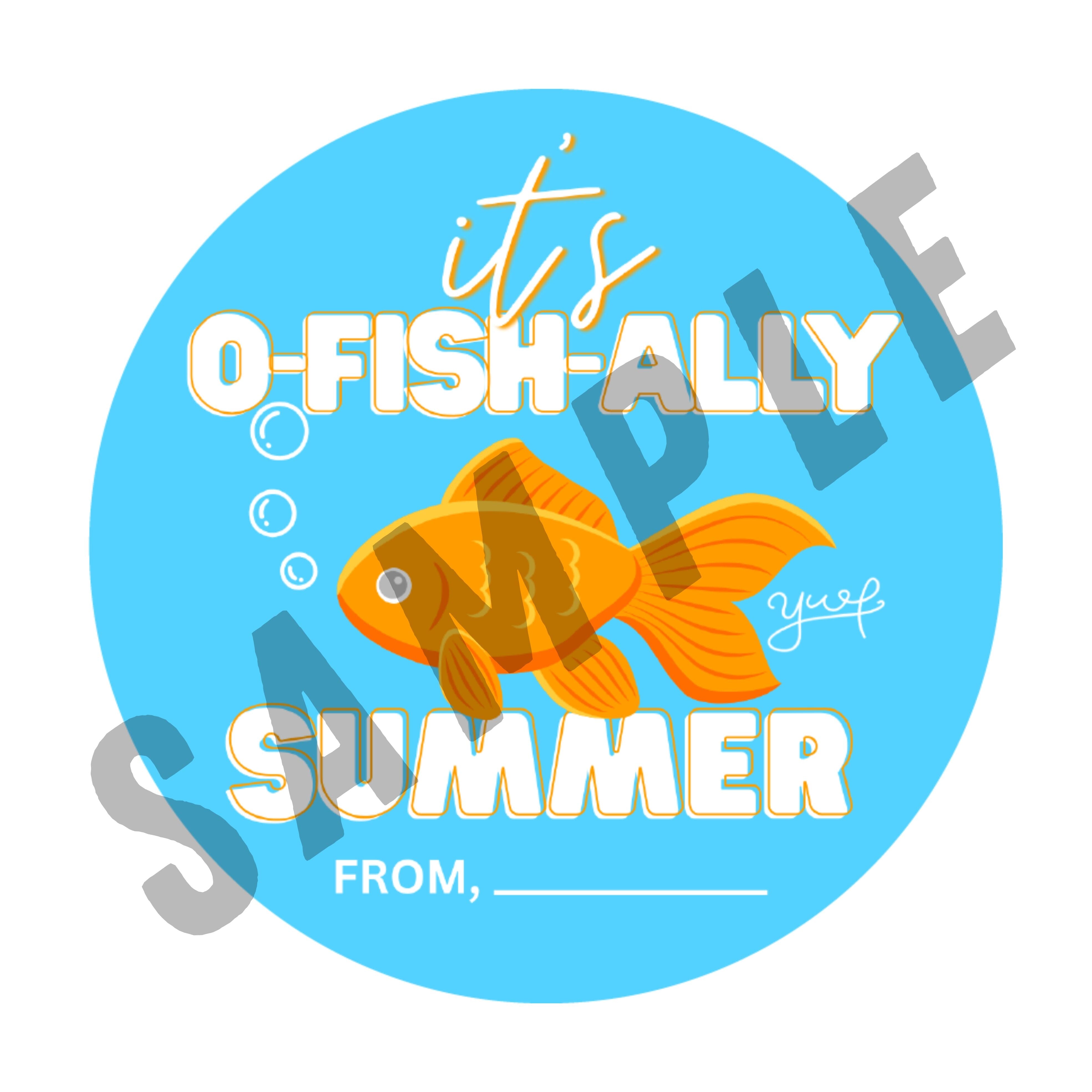 O-Fish-Ally Summer Class Gift Jar Sensory Dough Young, Wild & Friedman 