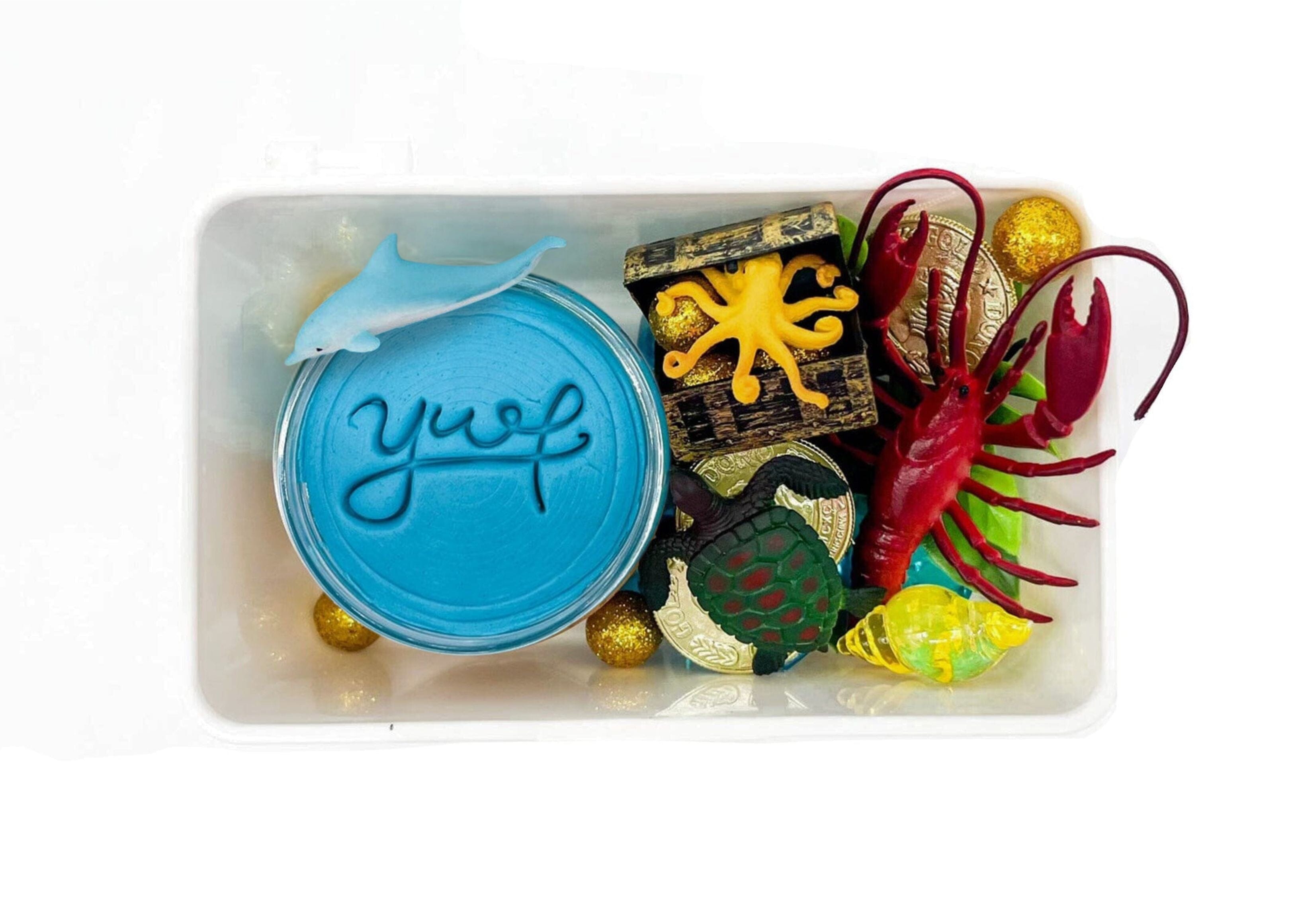 Ocean Mini Sensory Kit Mini Kit Young, Wild & Friedman 