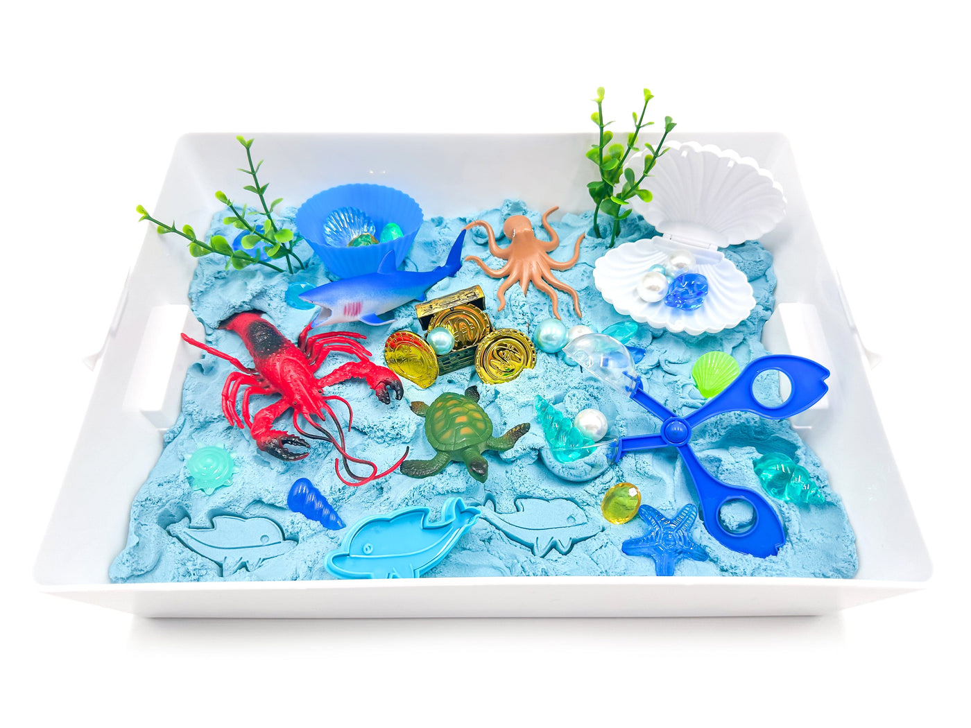 Ocean Sensory Elastic Sand Bin Sensory Bin Young, Wild & Friedman 