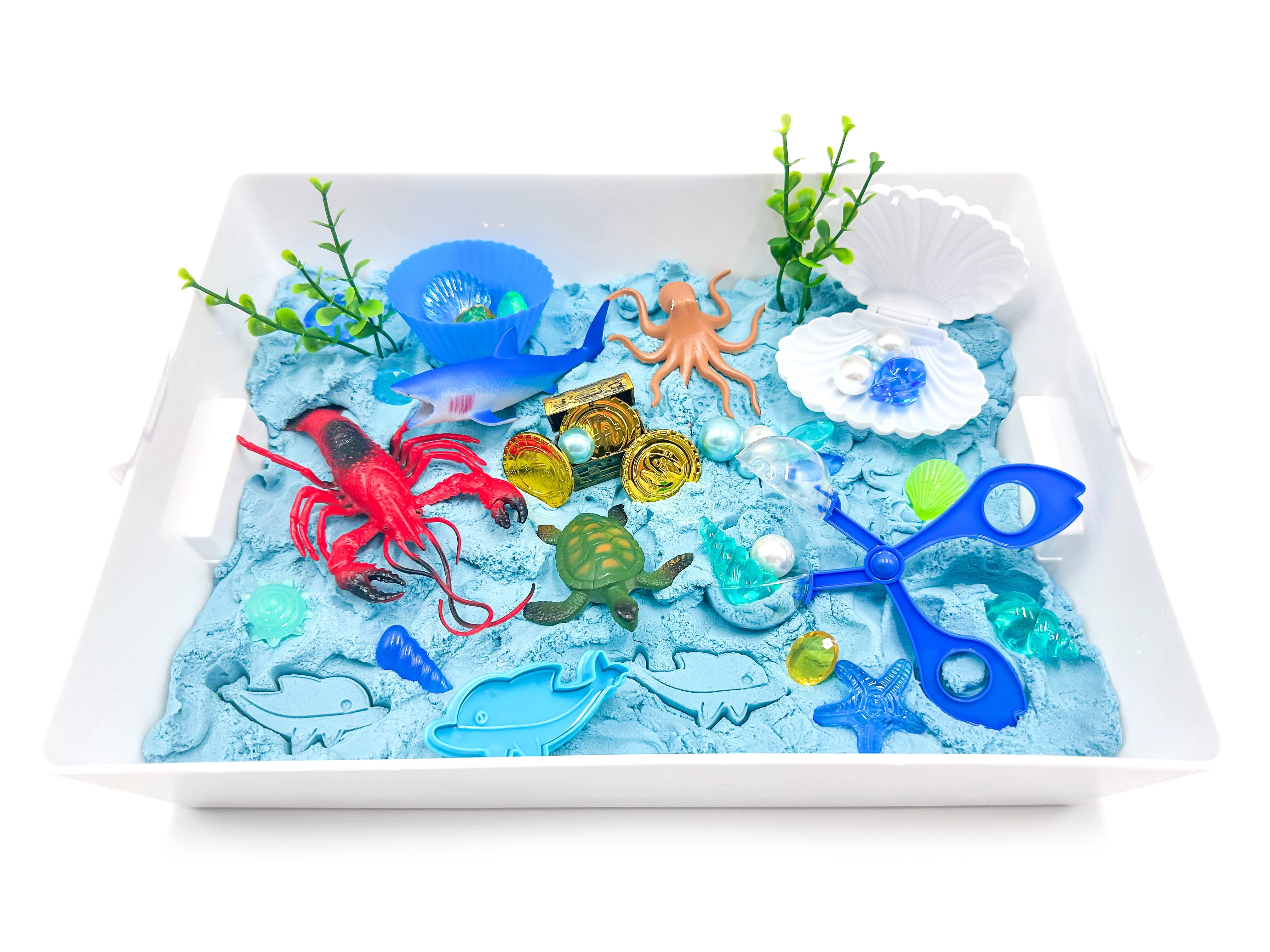 Ocean Sensory Elastic Sand Bin Sensory Bin Young, Wild & Friedman 