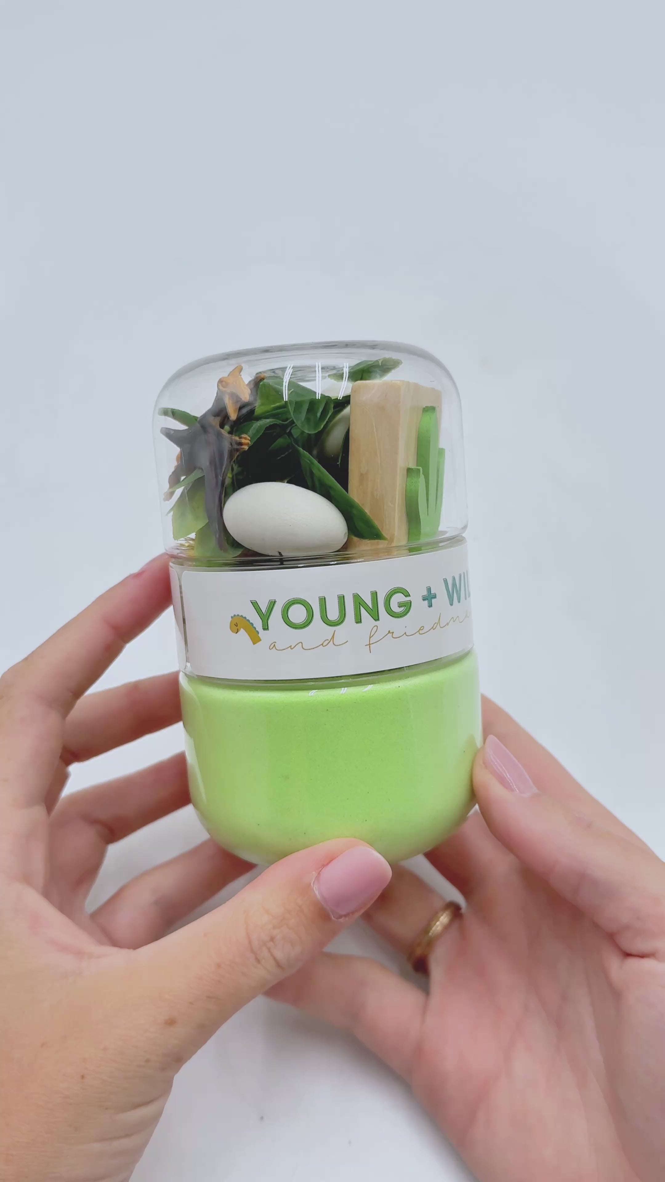 Dinosaur Grab & Go Elastic Sand Jar