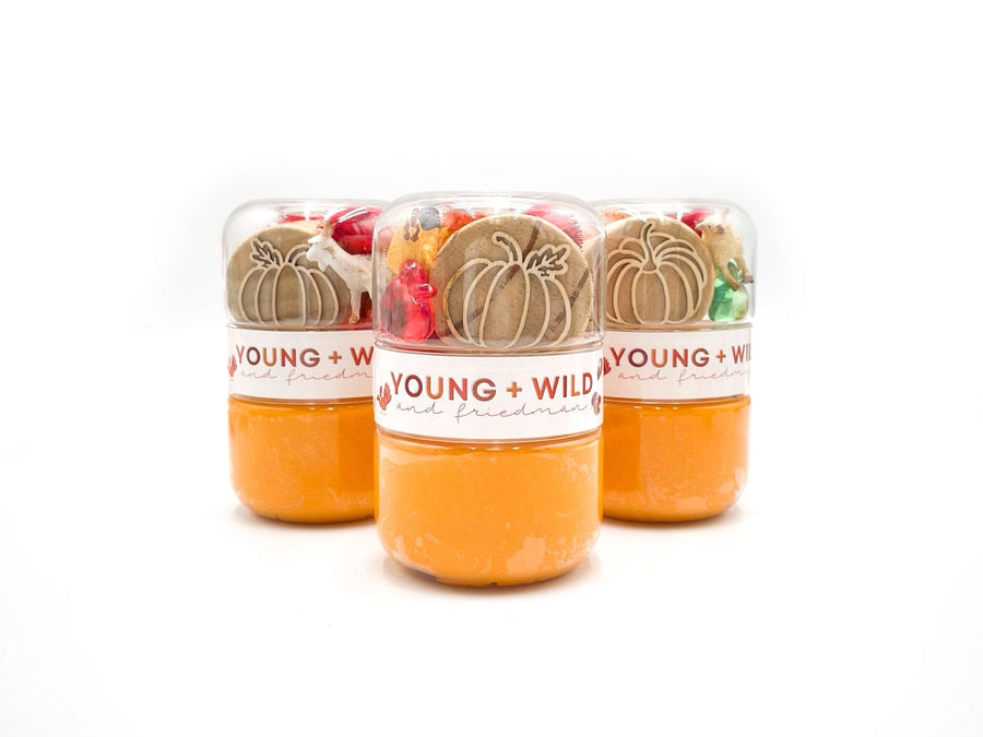 Pumpkin Patch Grab & Go Dough Jar Grab and Go Dough Young + Wild and Friedman 