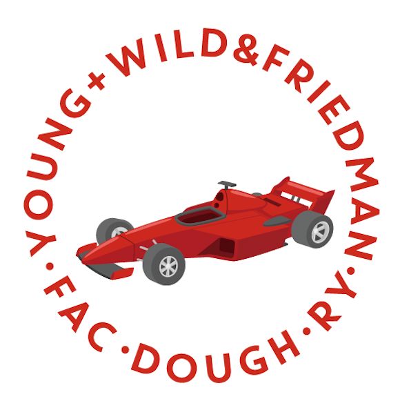 Race Car Kit Curriculum Kit Curriculum Young, Wild & Friedman 