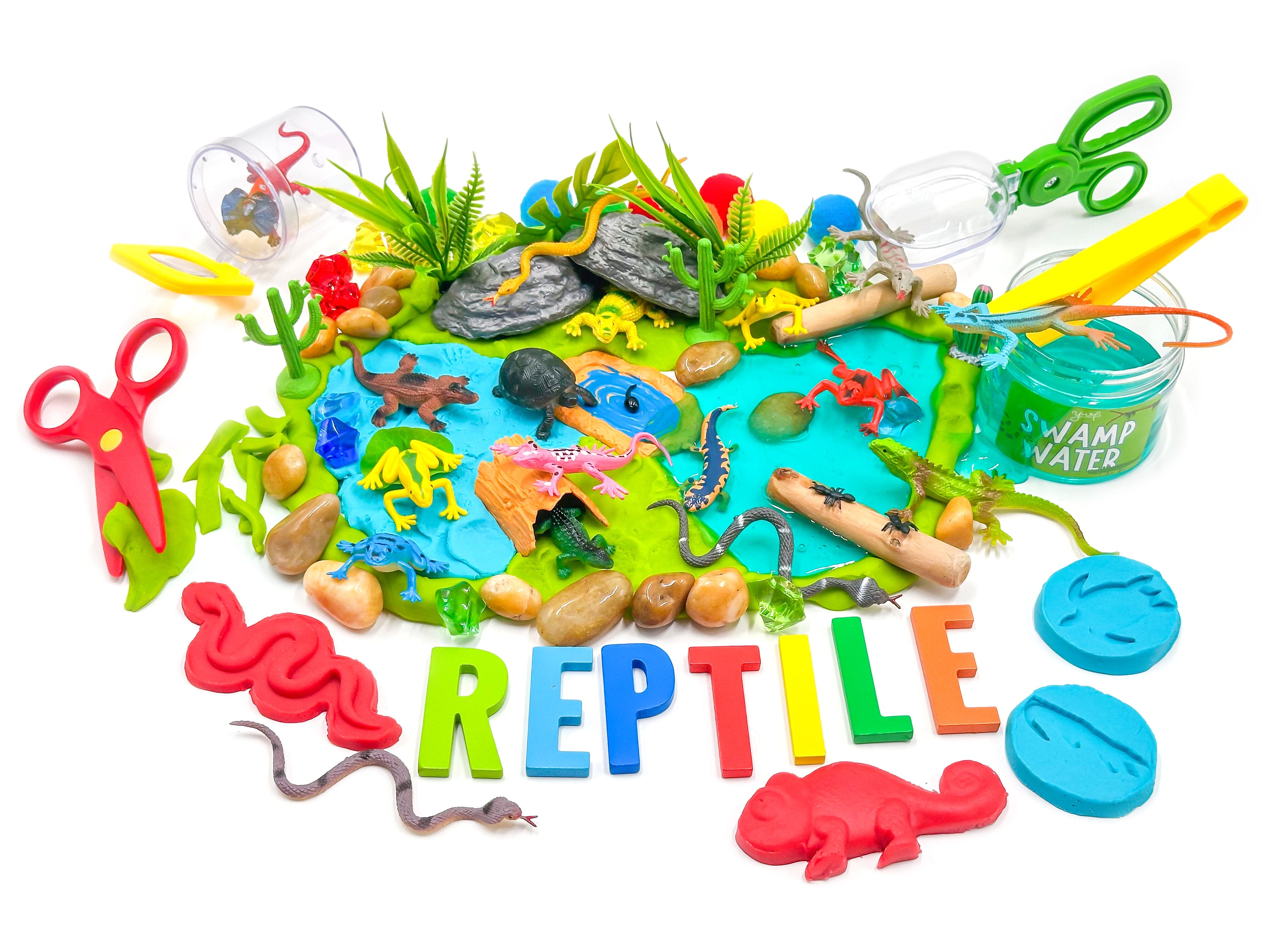 Reptile Sensory Kit Sensory Kit Young, Wild & Friedman 