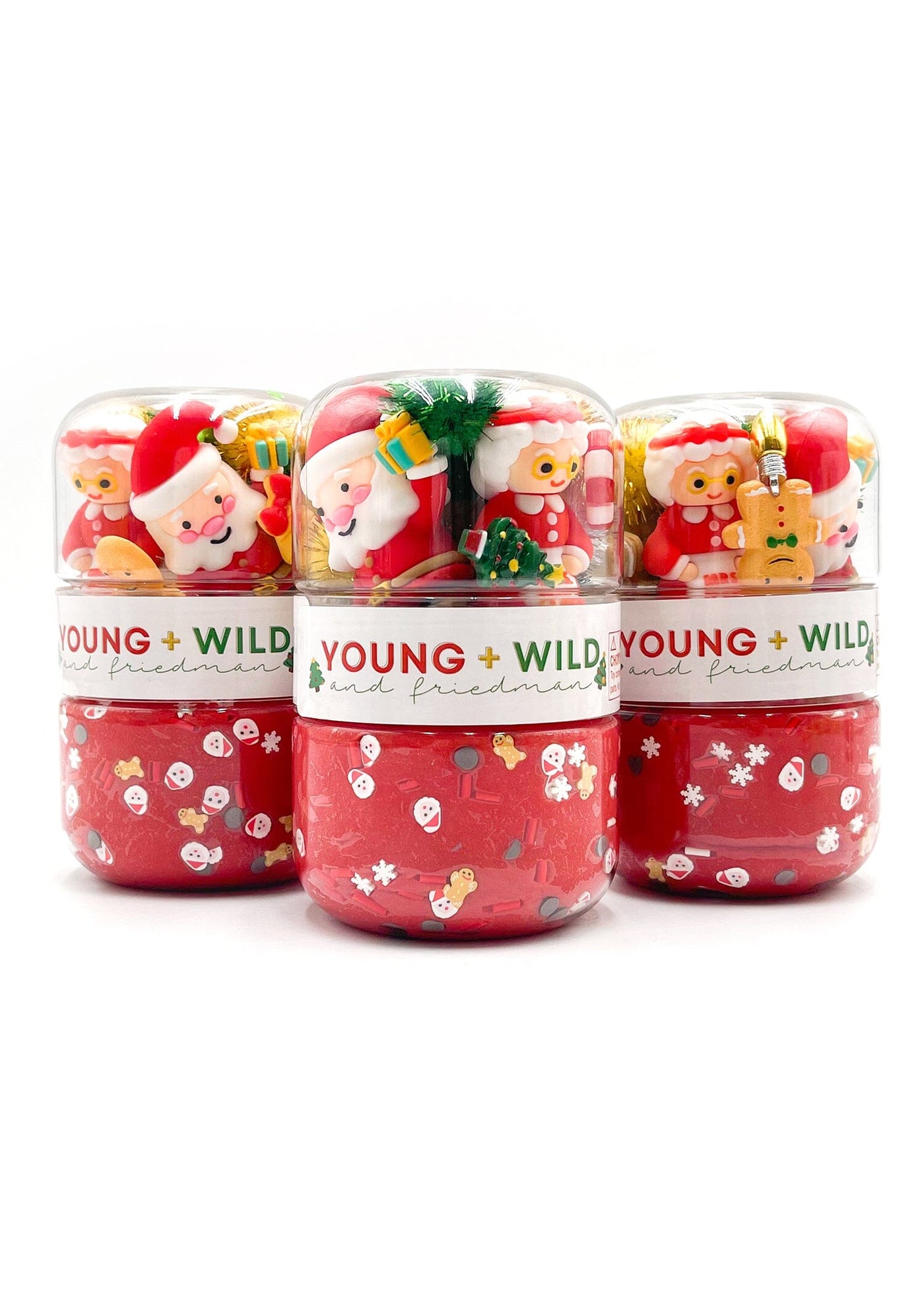 Santa Claus Grab & Go Dough Jar Grab and Go Dough Young, Wild & Friedman 