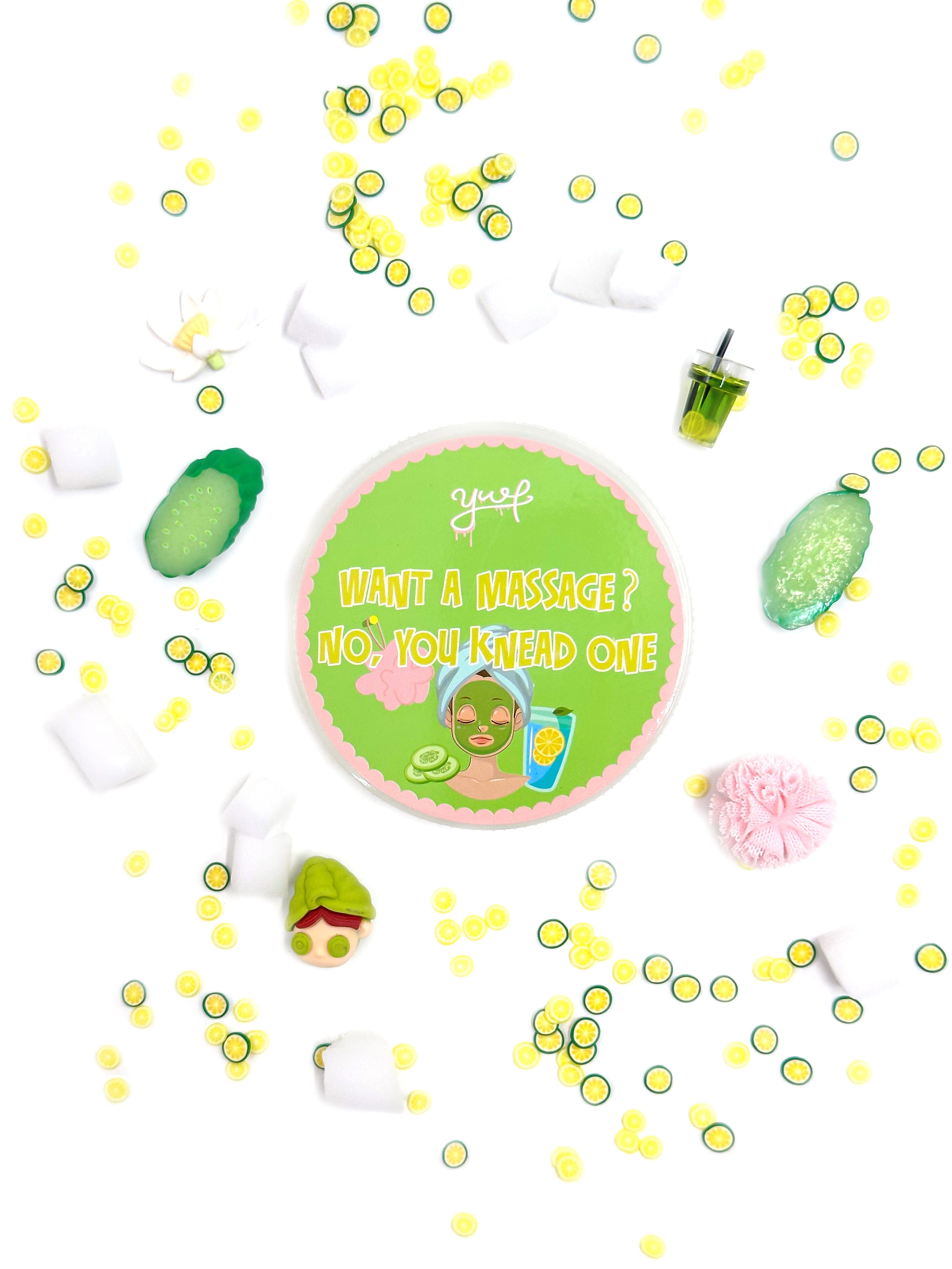 Slay Spa Slime Slime Young, Wild & Friedman 