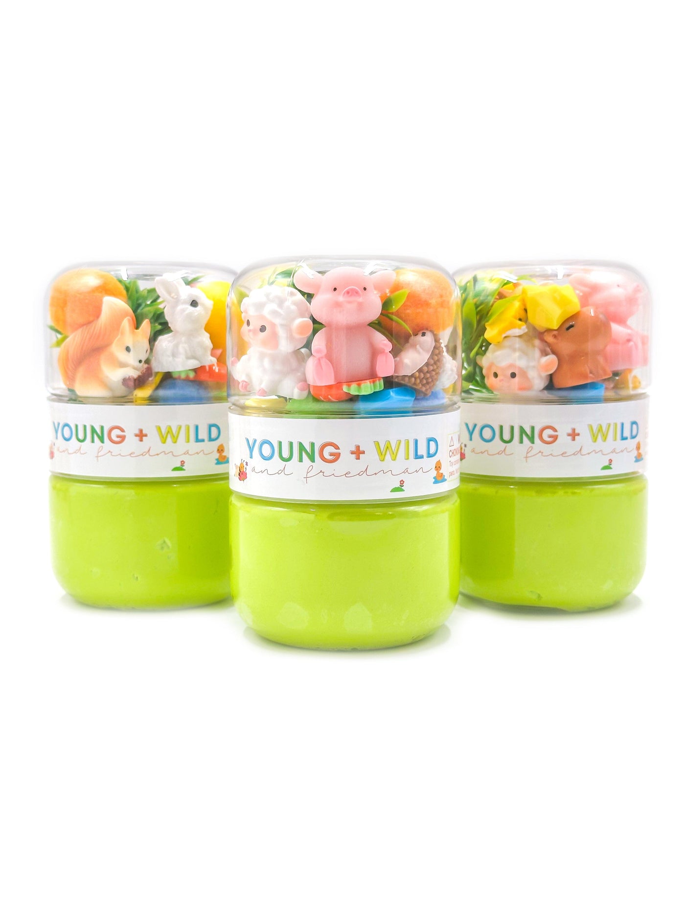 Spring Animals Grab & Go Dough Jar Grab and Go Dough Young, Wild & Friedman 