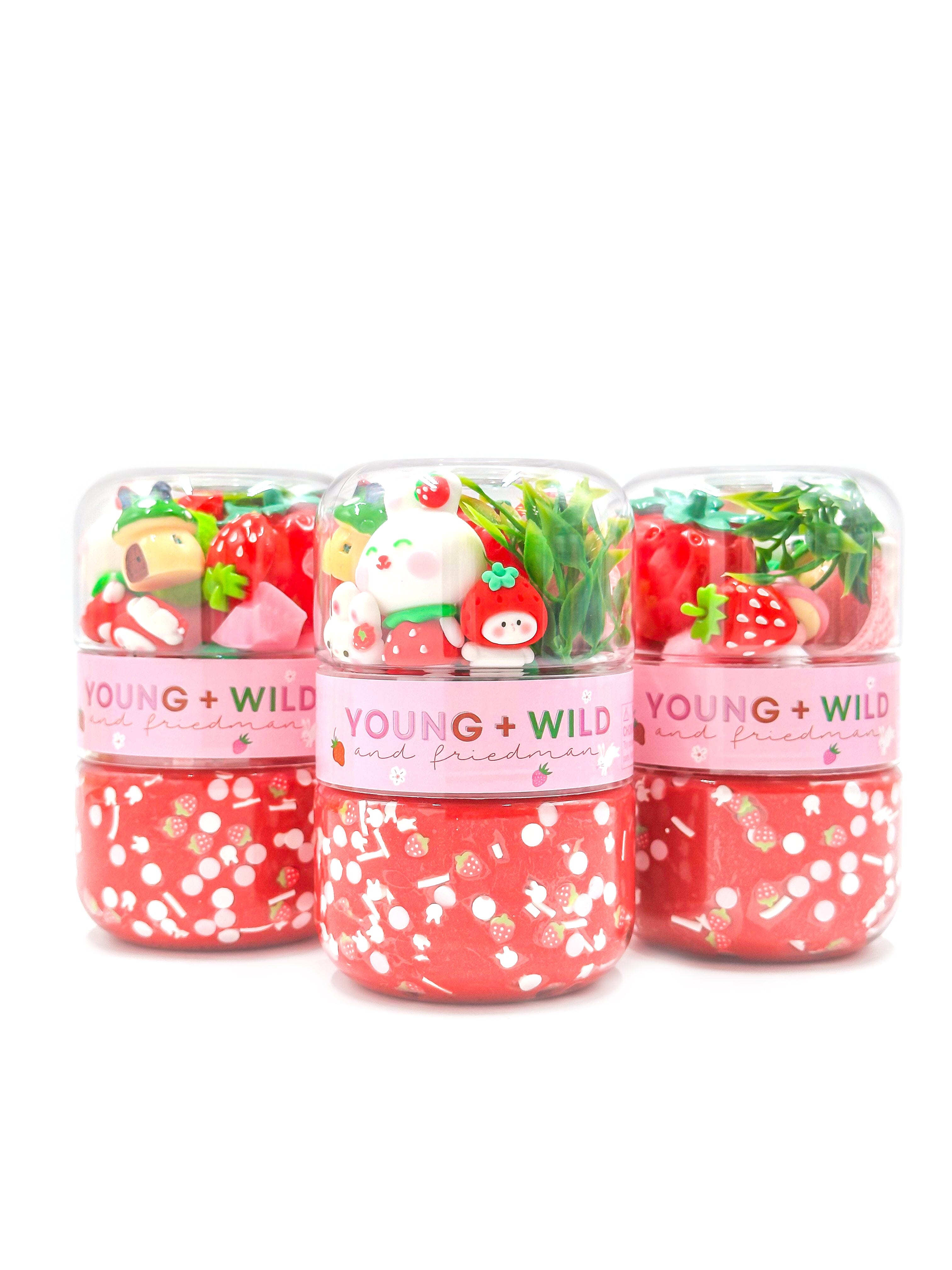 Strawberry Bunny Grab & Go Dough Jar Grab and Go Dough Young, Wild & Friedman 