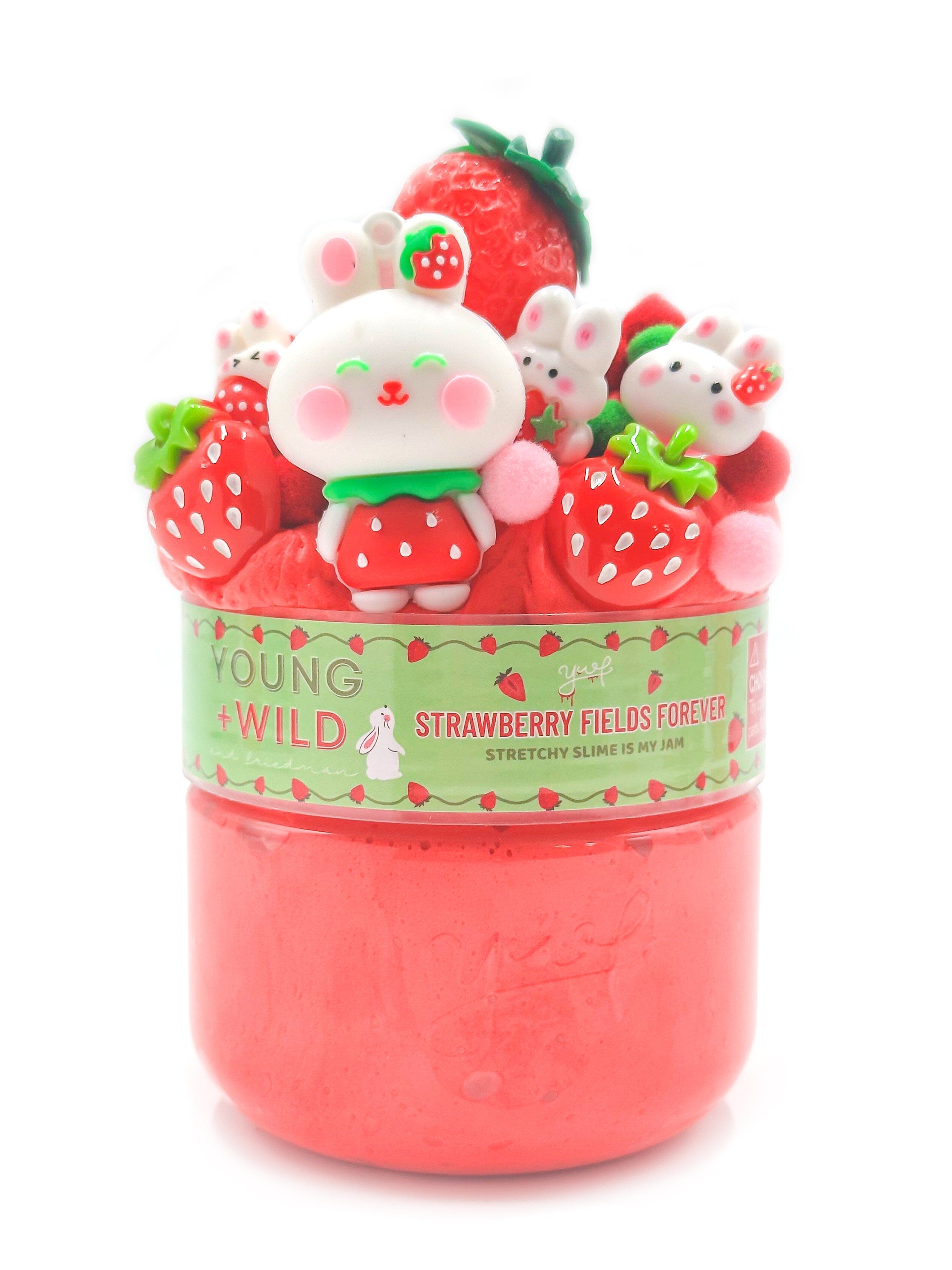 Strawberry Fields Forever Slime Slime Young, Wild & Friedman 