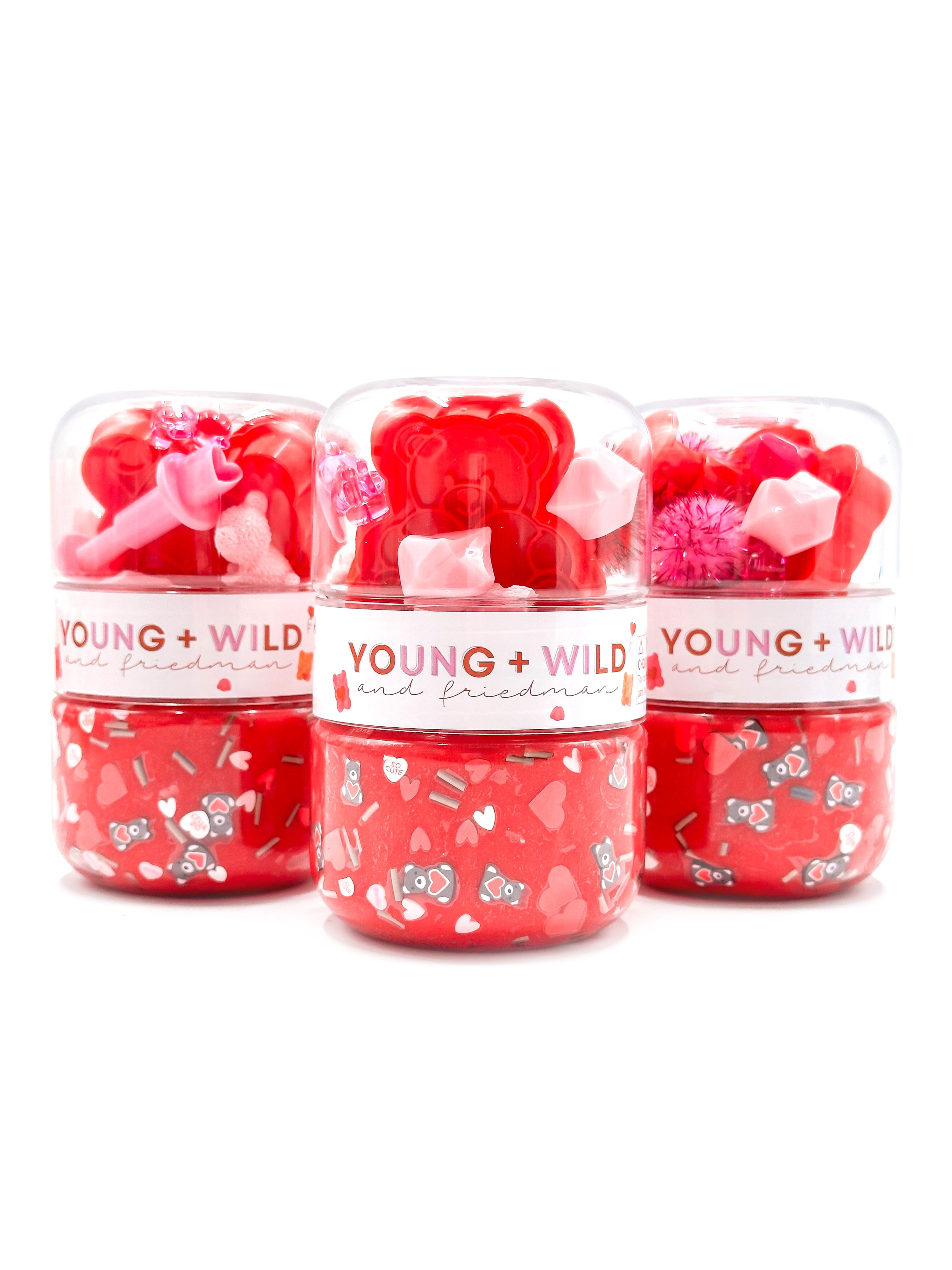 Teddy Bear Valentine Grab & Go Dough Jar Grab and Go Dough Young, Wild & Friedman 